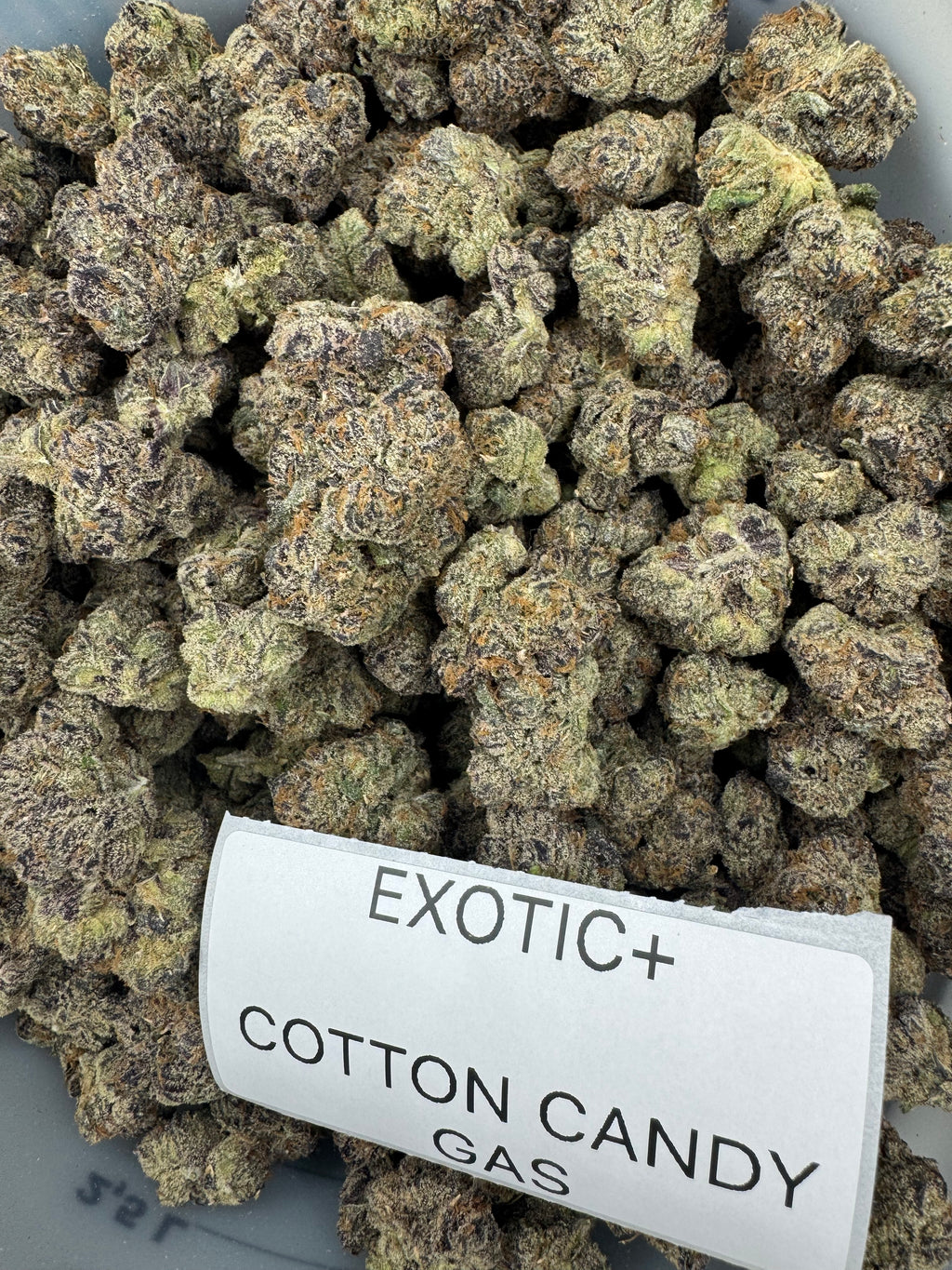 TOP SHELF EXOTICS