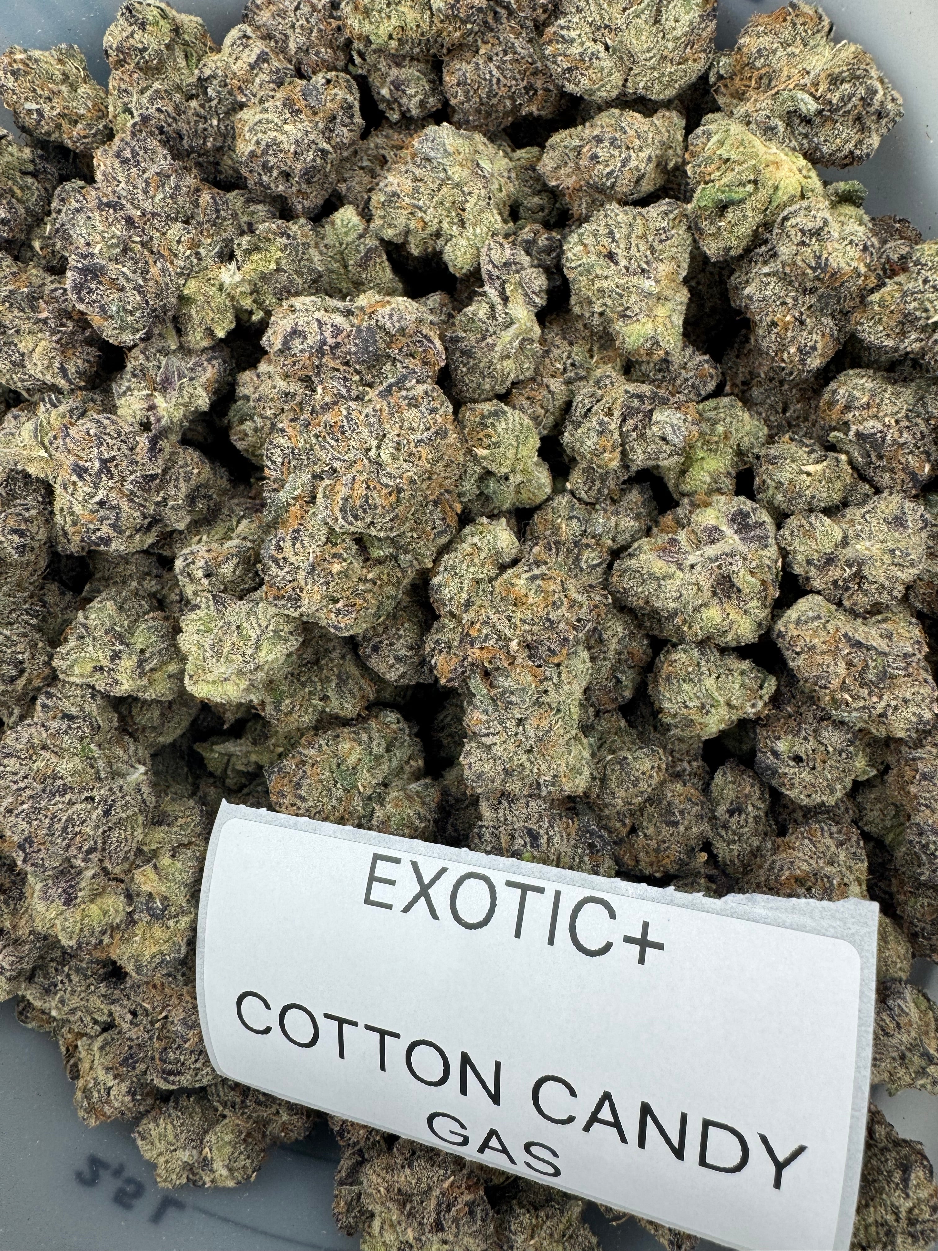 EXOTIC FLOWERS