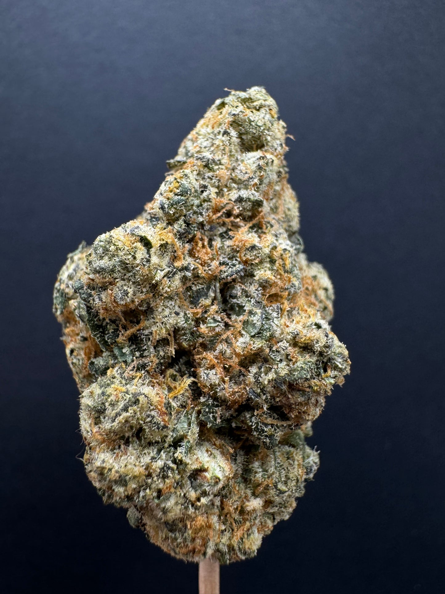 Apple Fritter 40+% (Exotic40)