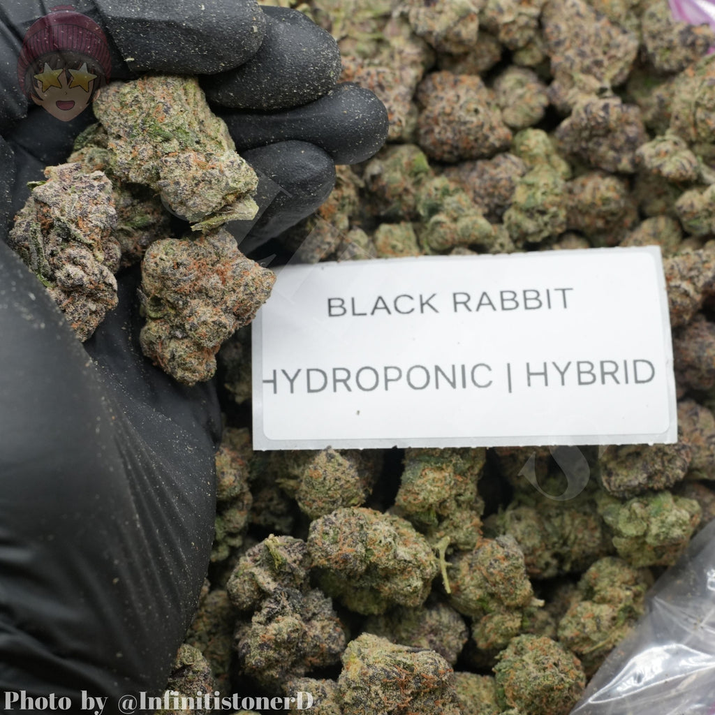 TOP SHELF EXOTICS