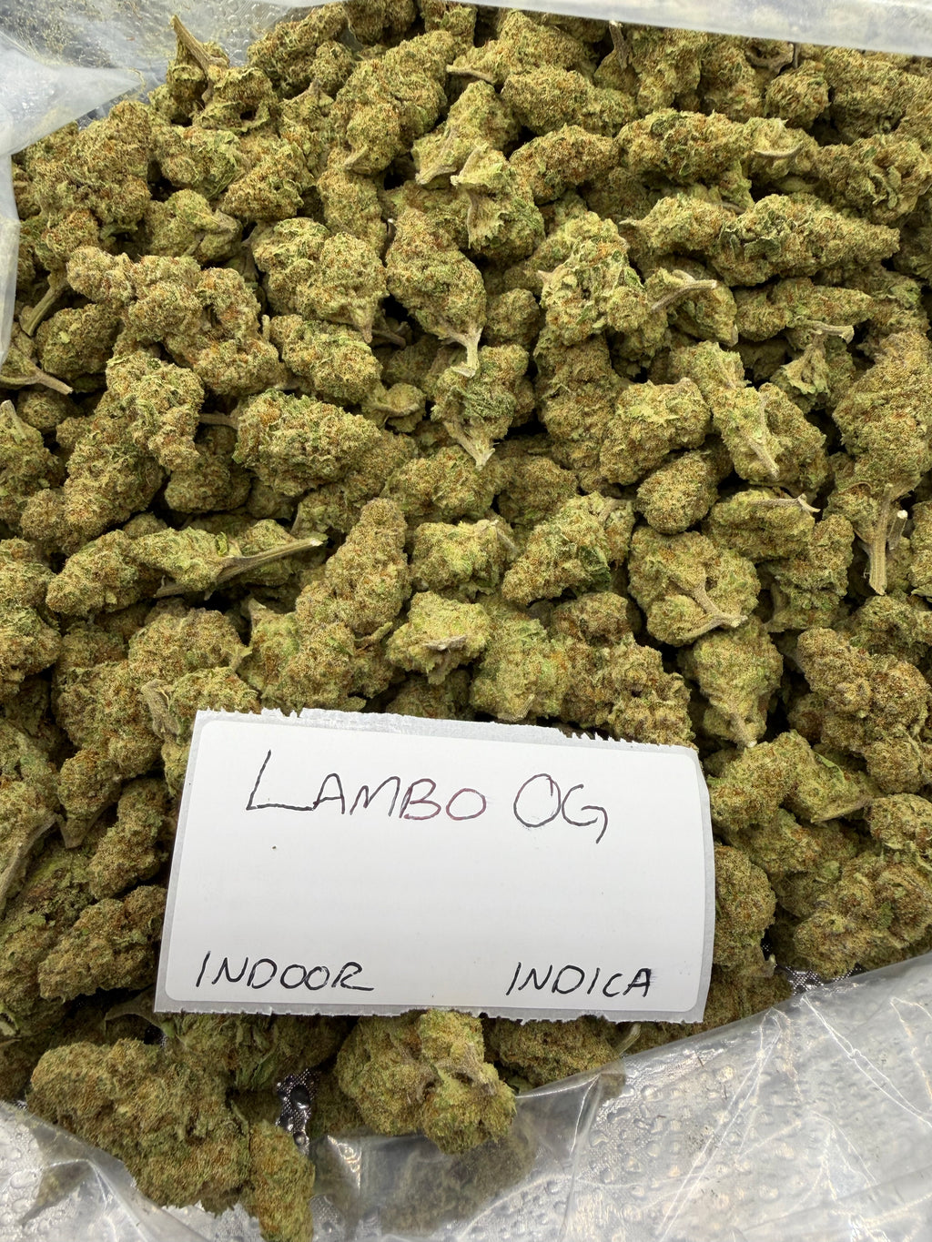 J Litty’s Weekly Deals!