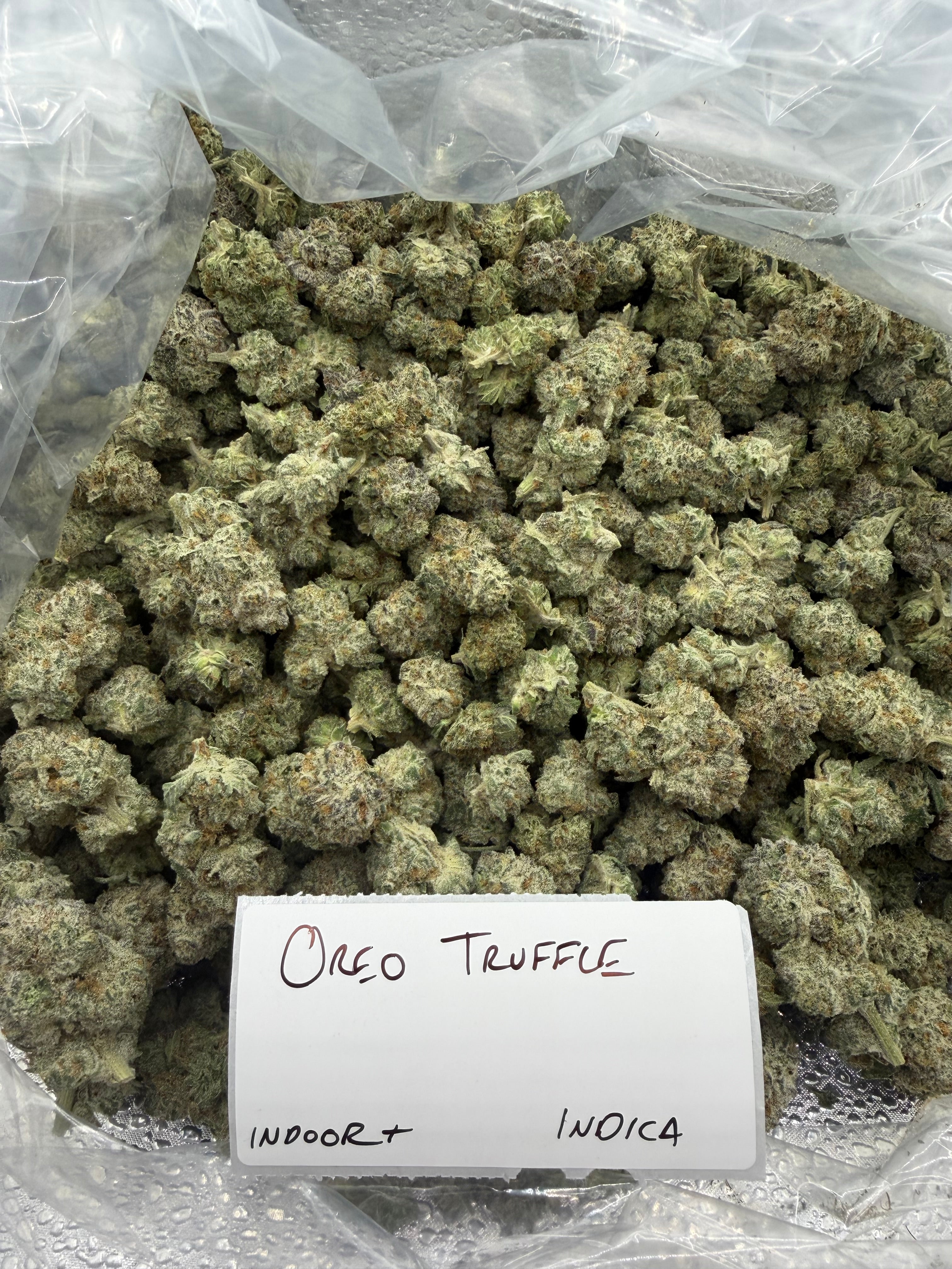 J Litty’s Weekly Deals!