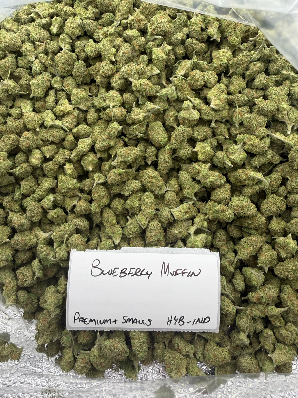 *SALE* SMALLS AND MEDIUMS (NO CODE NEEDED)