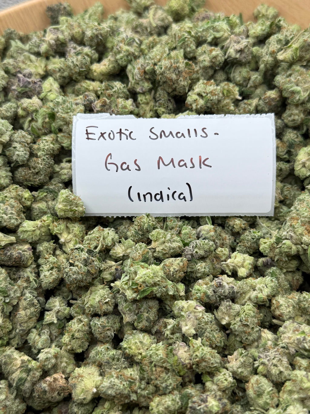 *SALE* SMALLS AND MEDIUMS (NO CODE NEEDED)