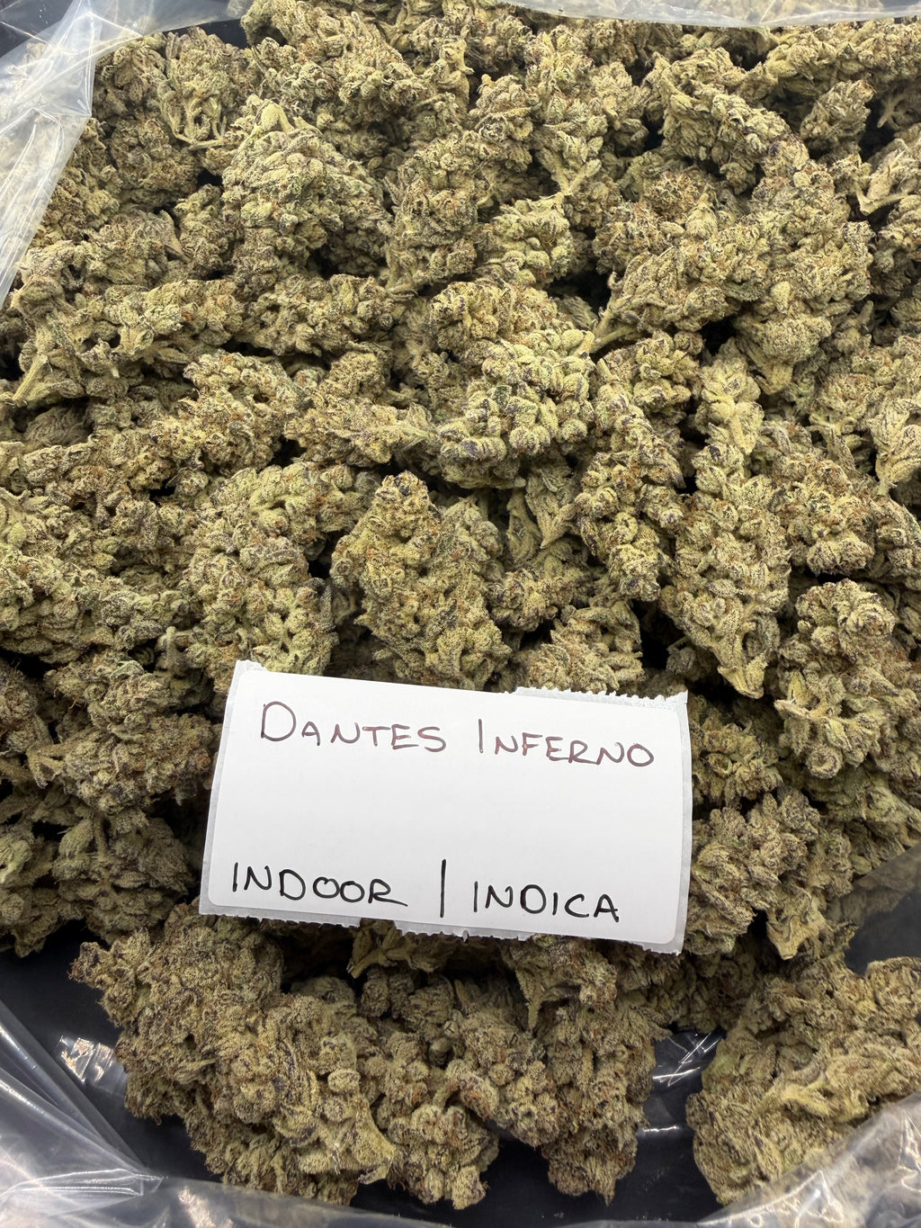 J Litty’s Weekly Deals!