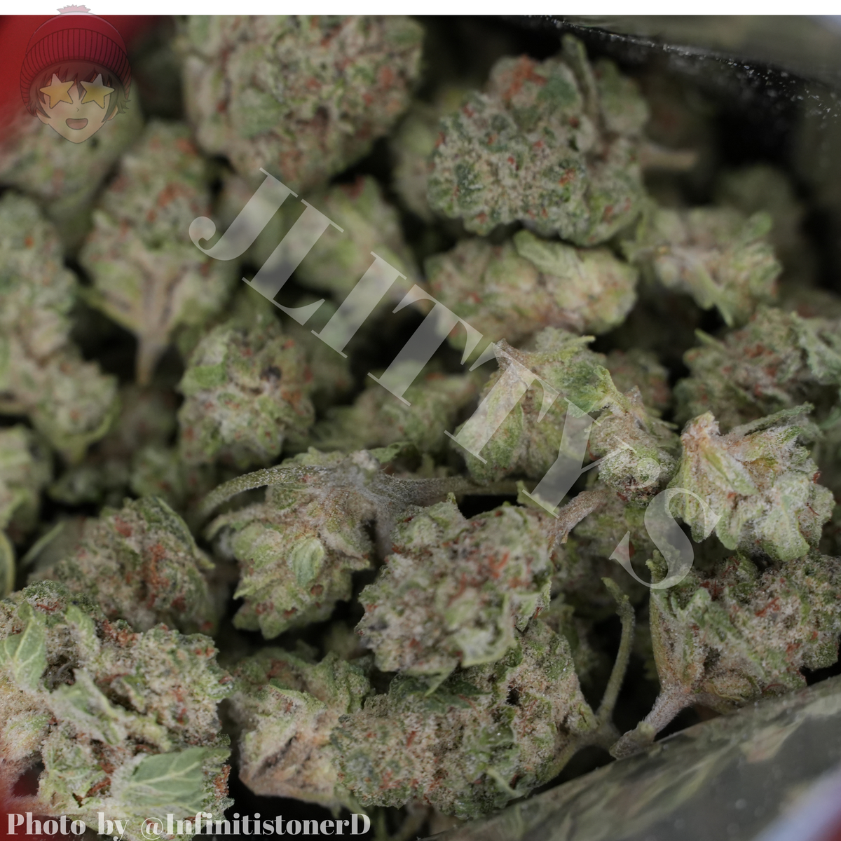 PREORDER PREMIUM SMALLS HPs & Ps