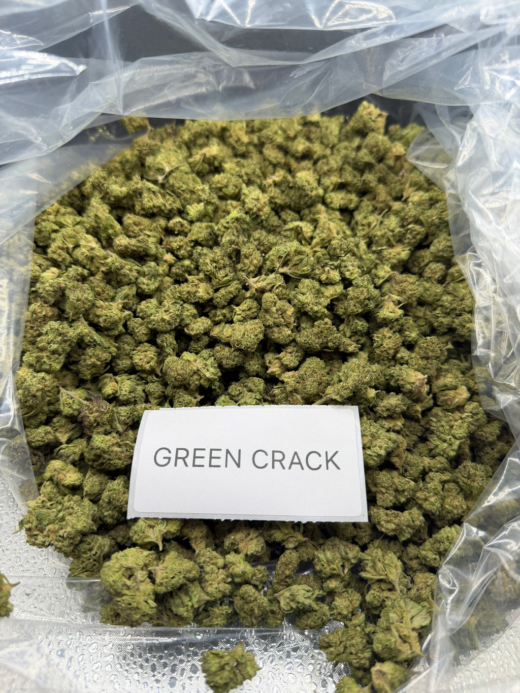 *SALE* SMALLS AND MEDIUMS