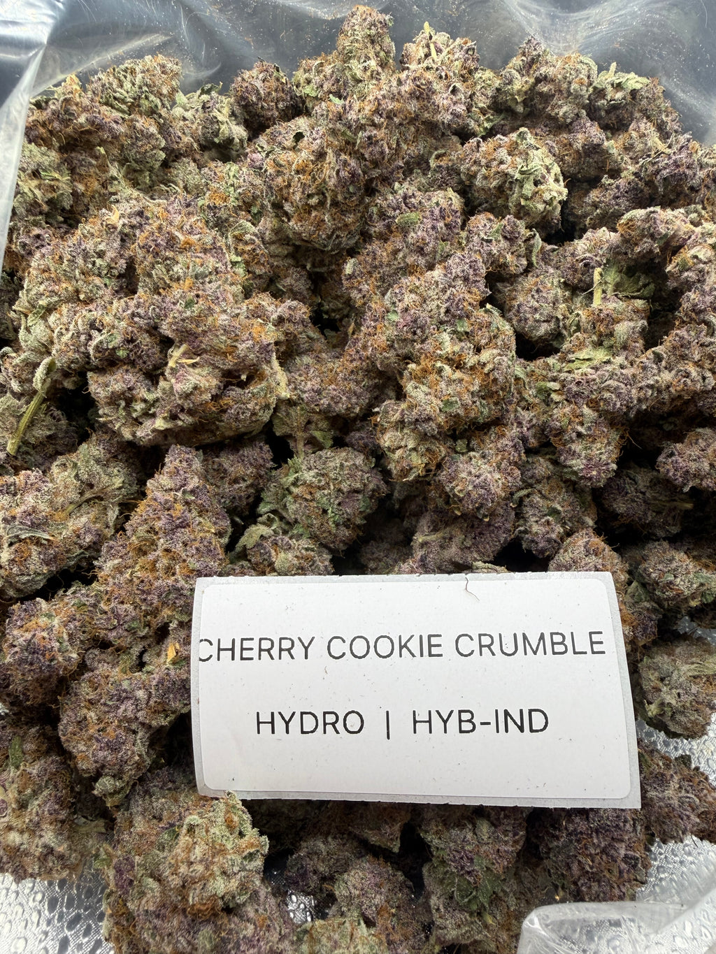 TOP SHELF EXOTICS