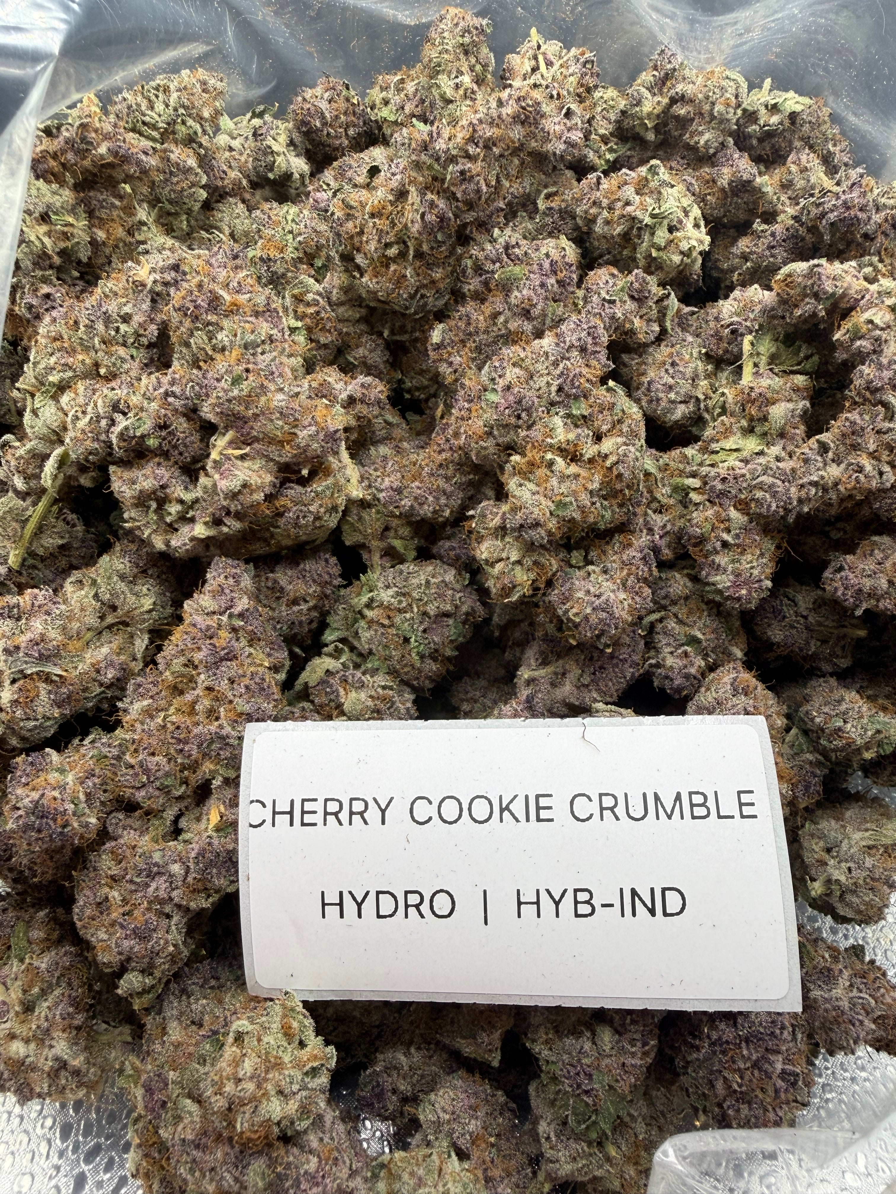 TOP SHELF EXOTICS