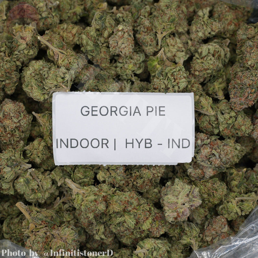 J Litty’s Weekly Deals!