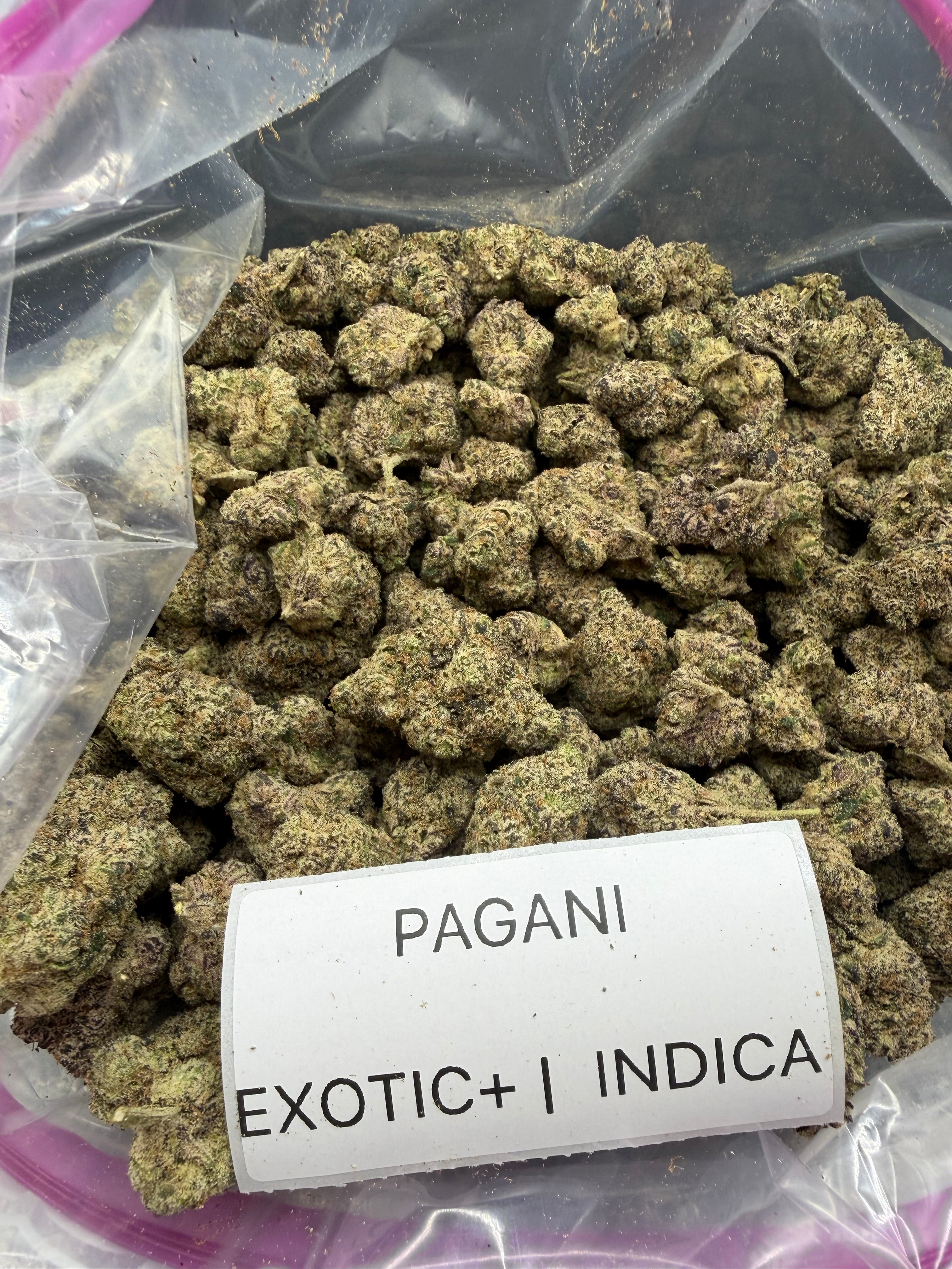 TOP SHELF EXOTICS