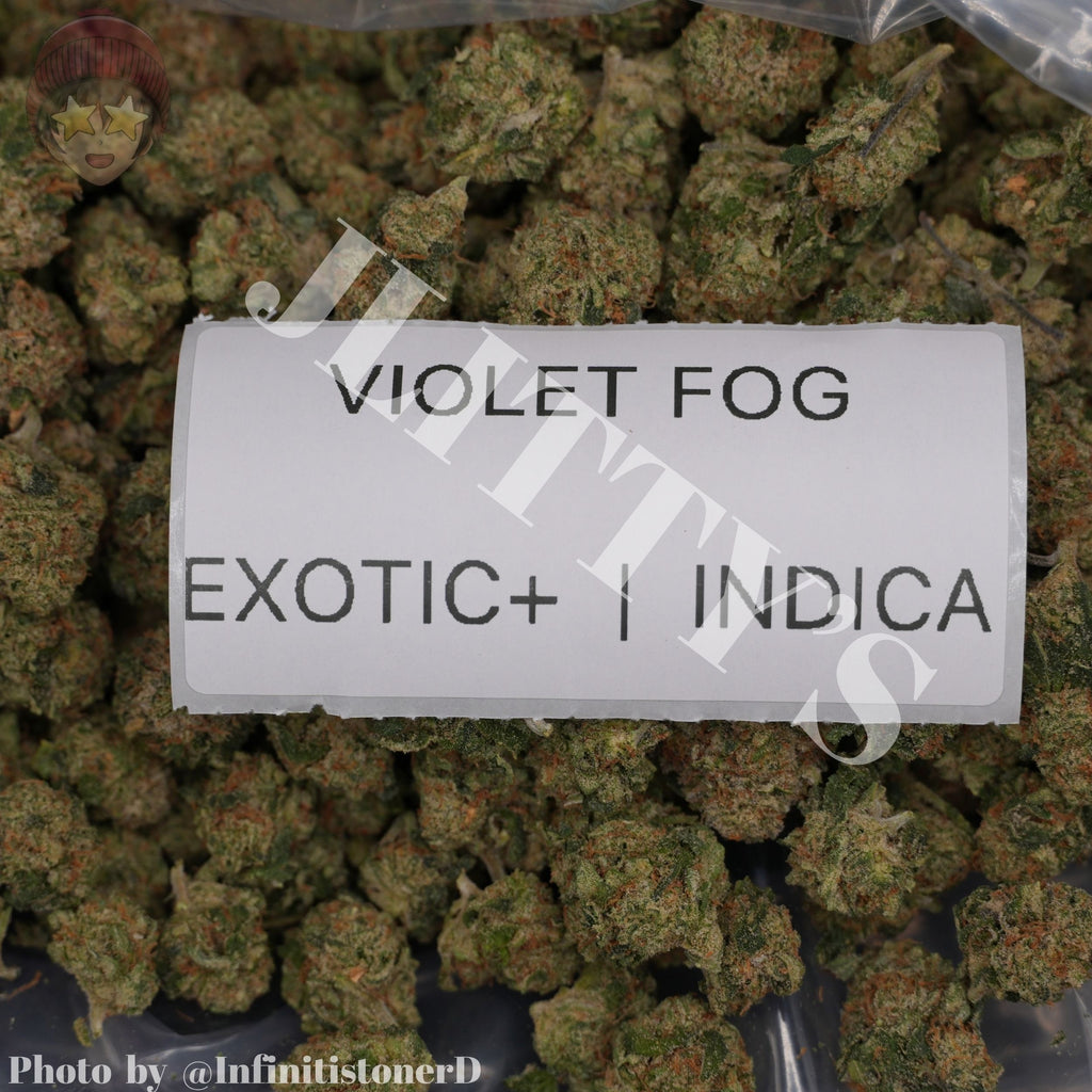 J Litty’s Weekly Deals!
