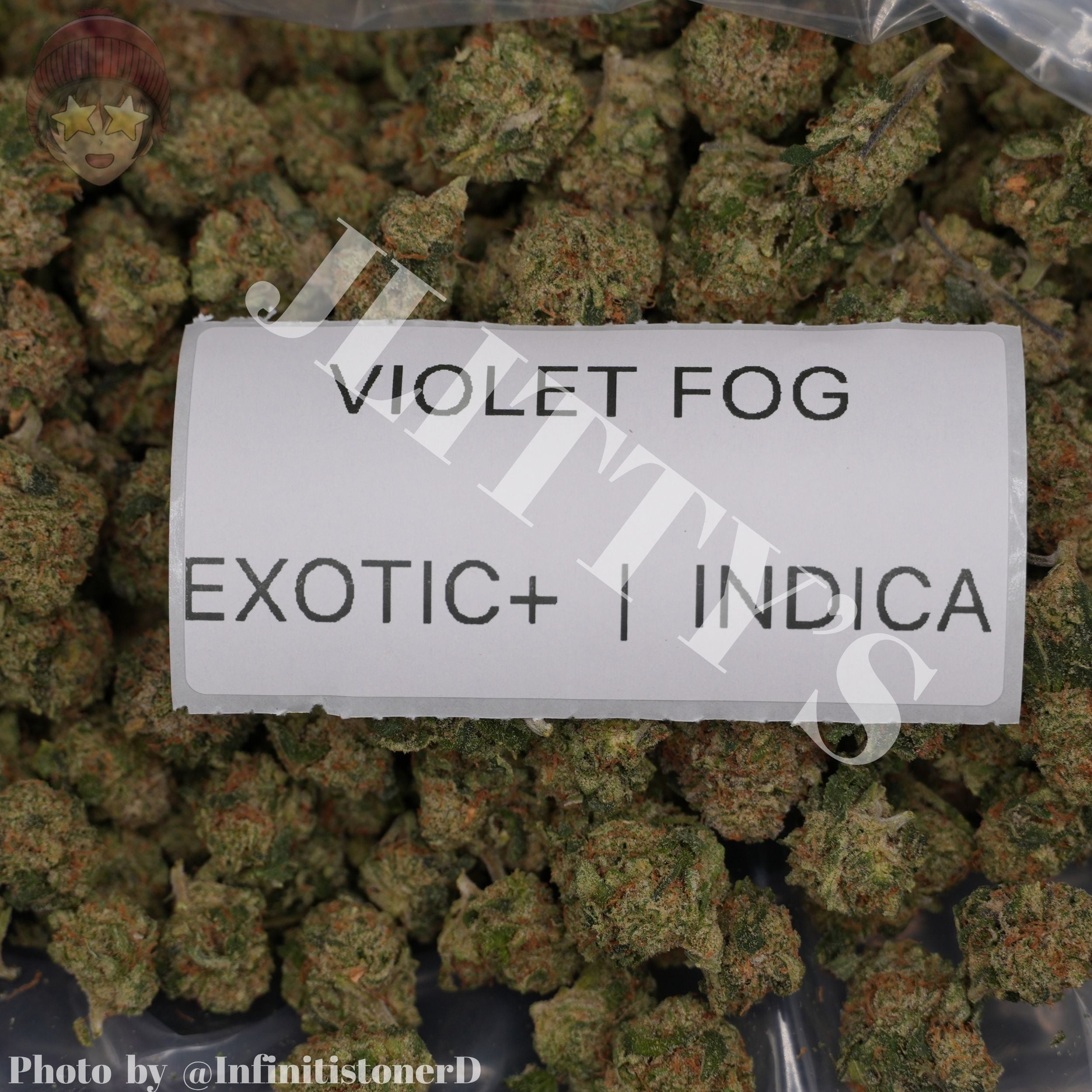 J Litty’s Weekly Deals!