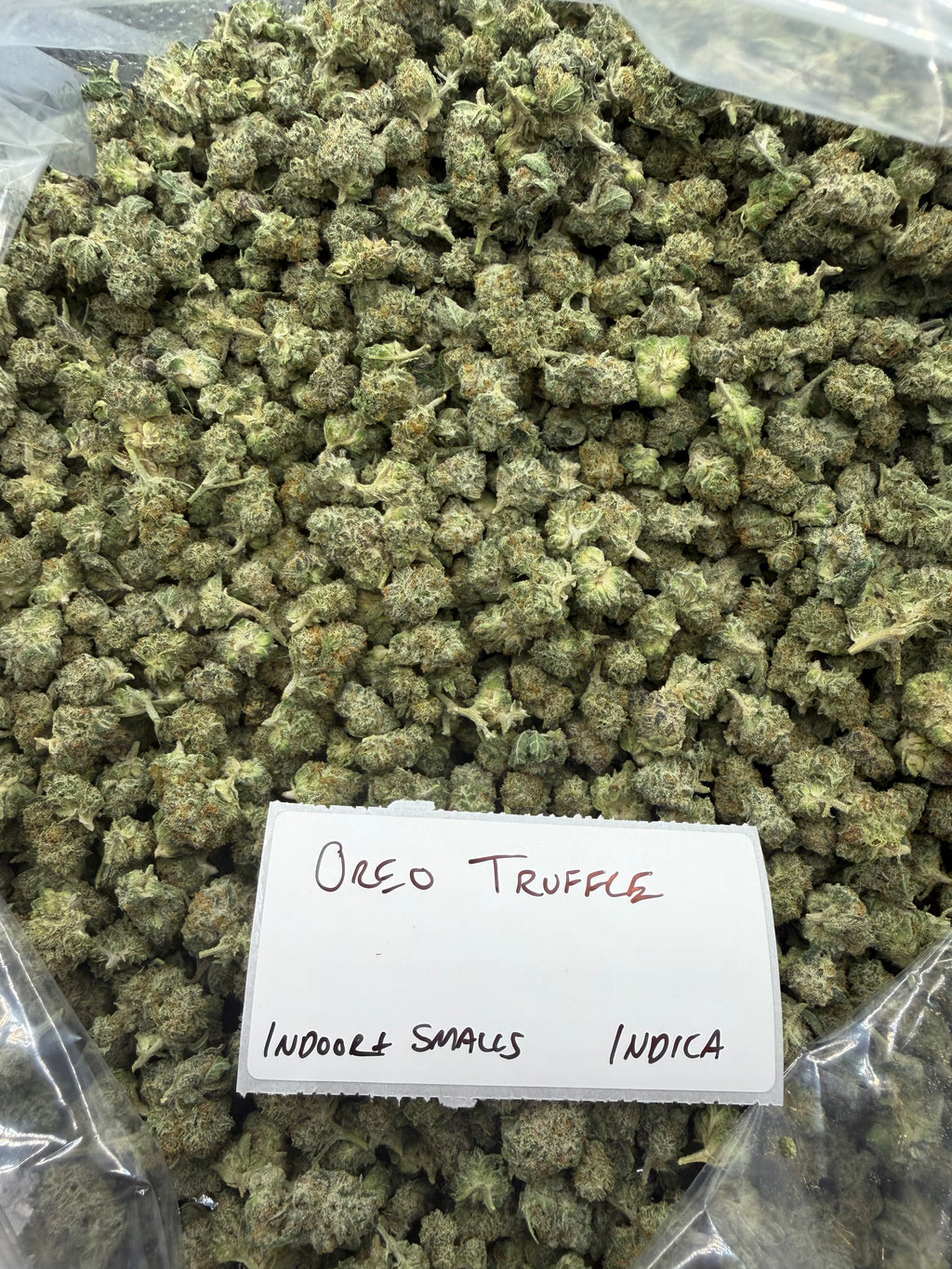 *SALE* SMALLS AND MEDIUMS (NO CODE NEEDED)