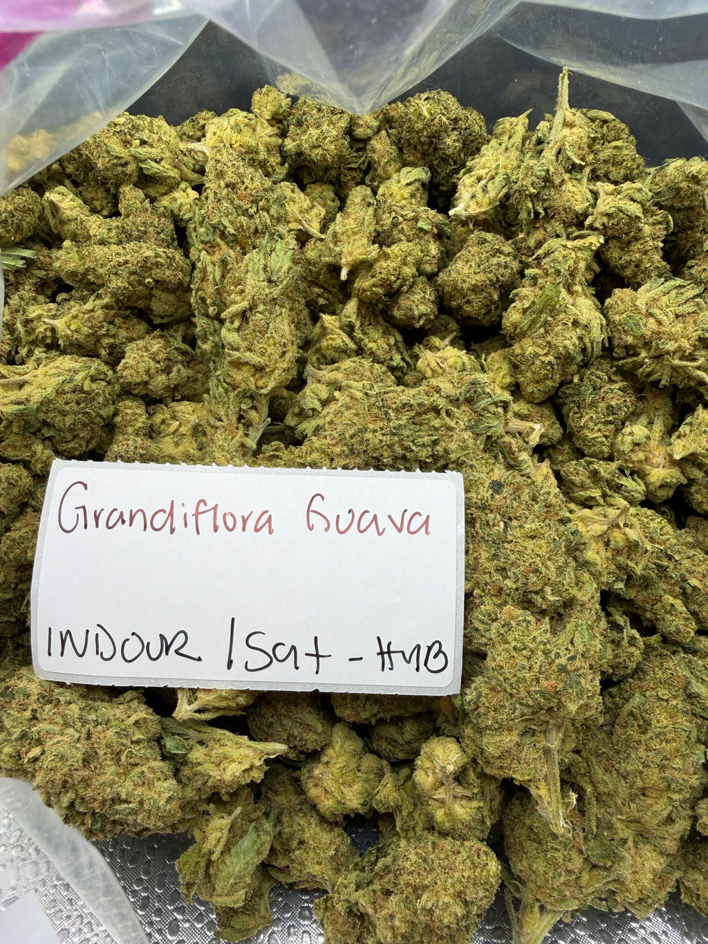 J Litty’s Weekly Deals!