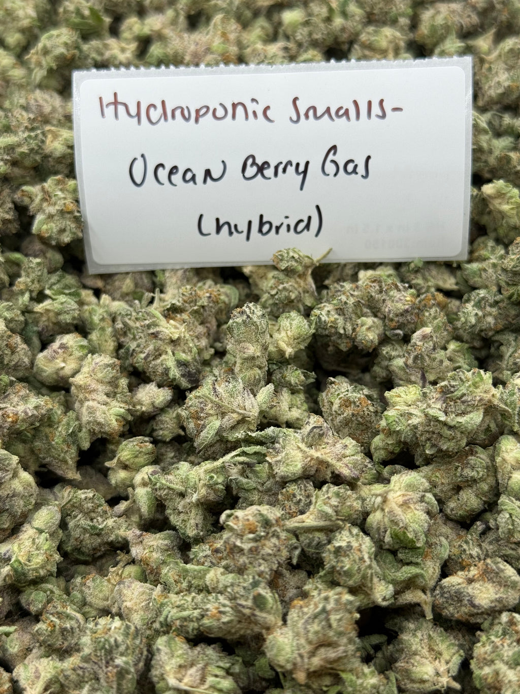 *SALE* SMALLS AND MEDIUMS (NO CODE NEEDED)