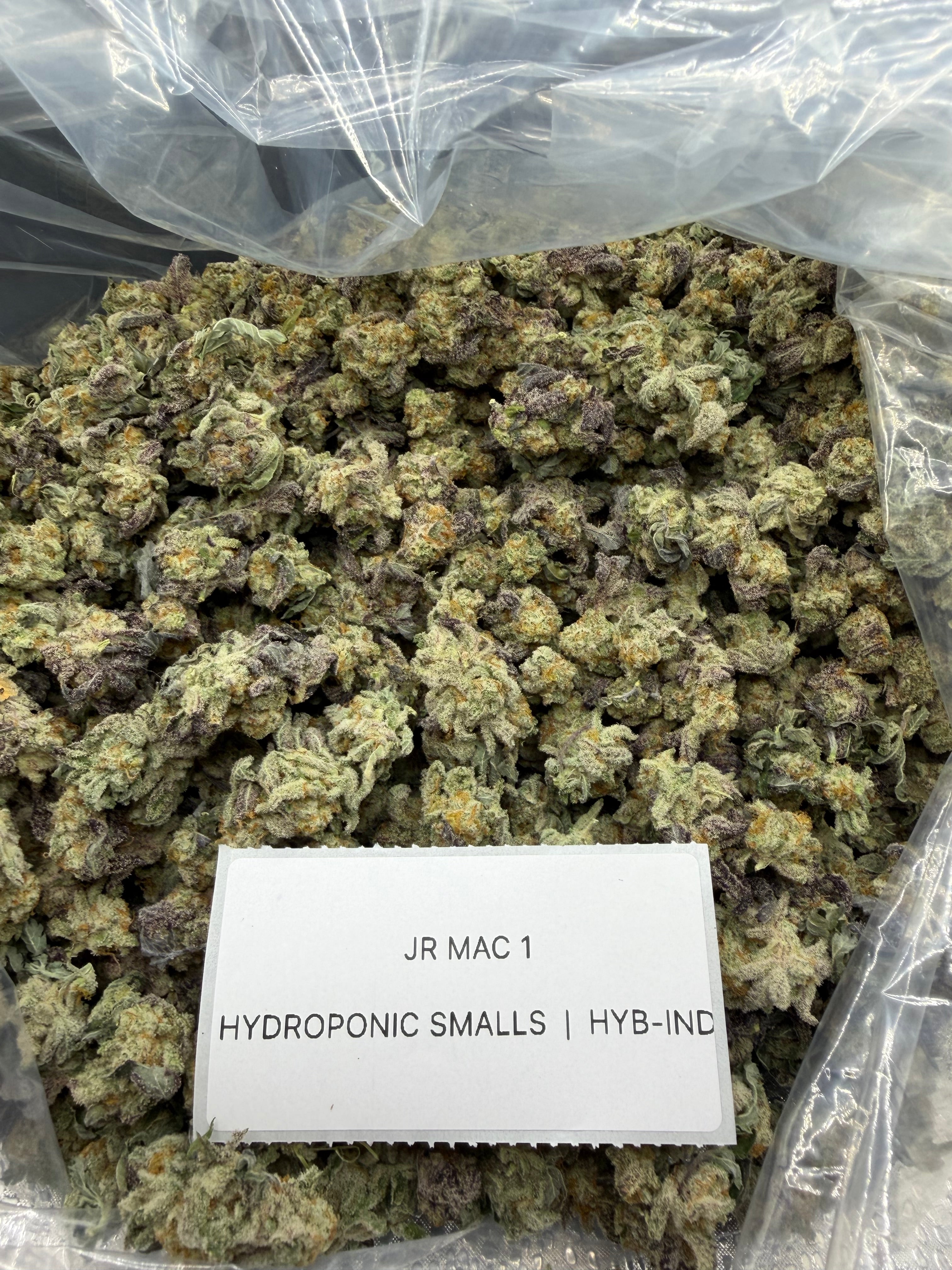 *SALE* SMALLS AND MEDIUMS