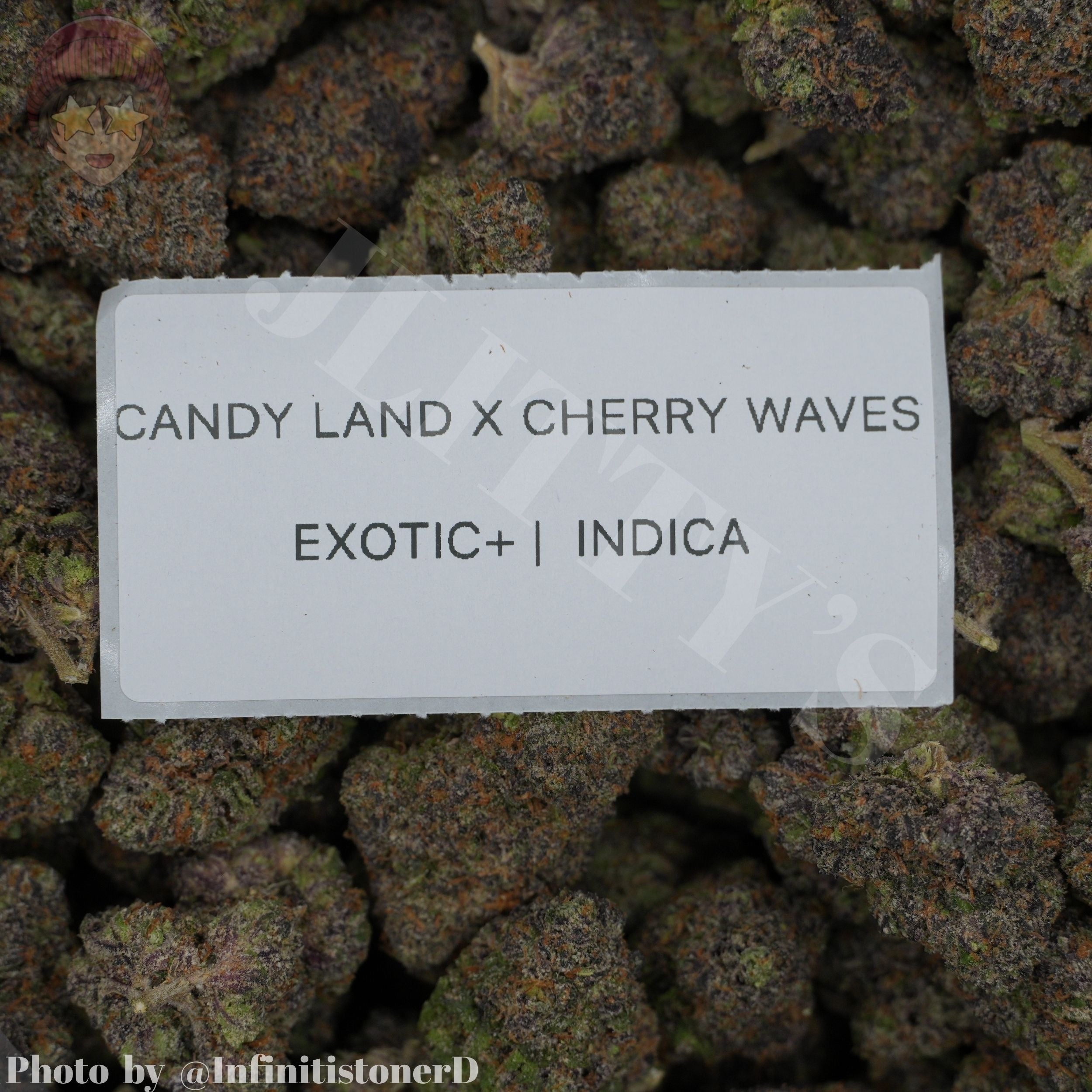 TOP SHELF EXOTICS