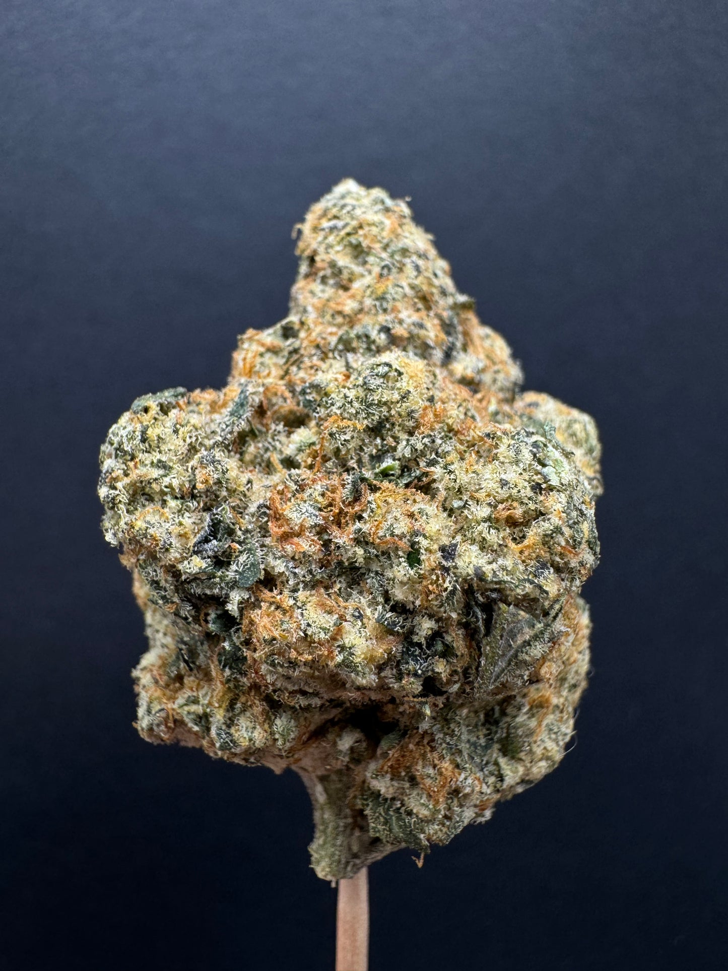 Apple Fritter 40+% (Exotic40)