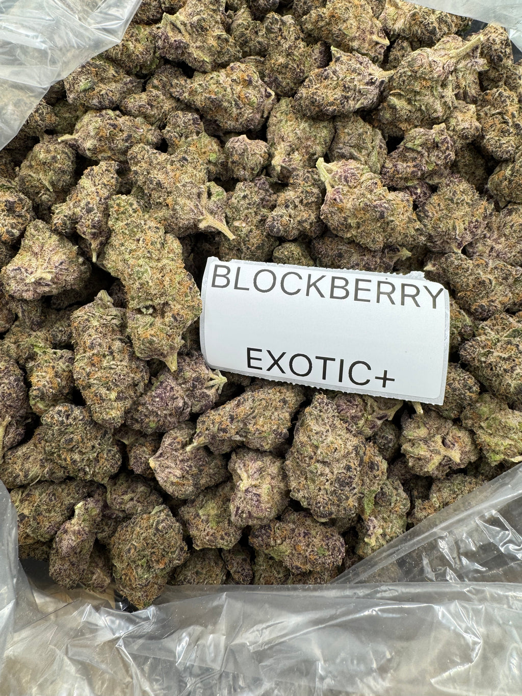 TOP SHELF EXOTICS