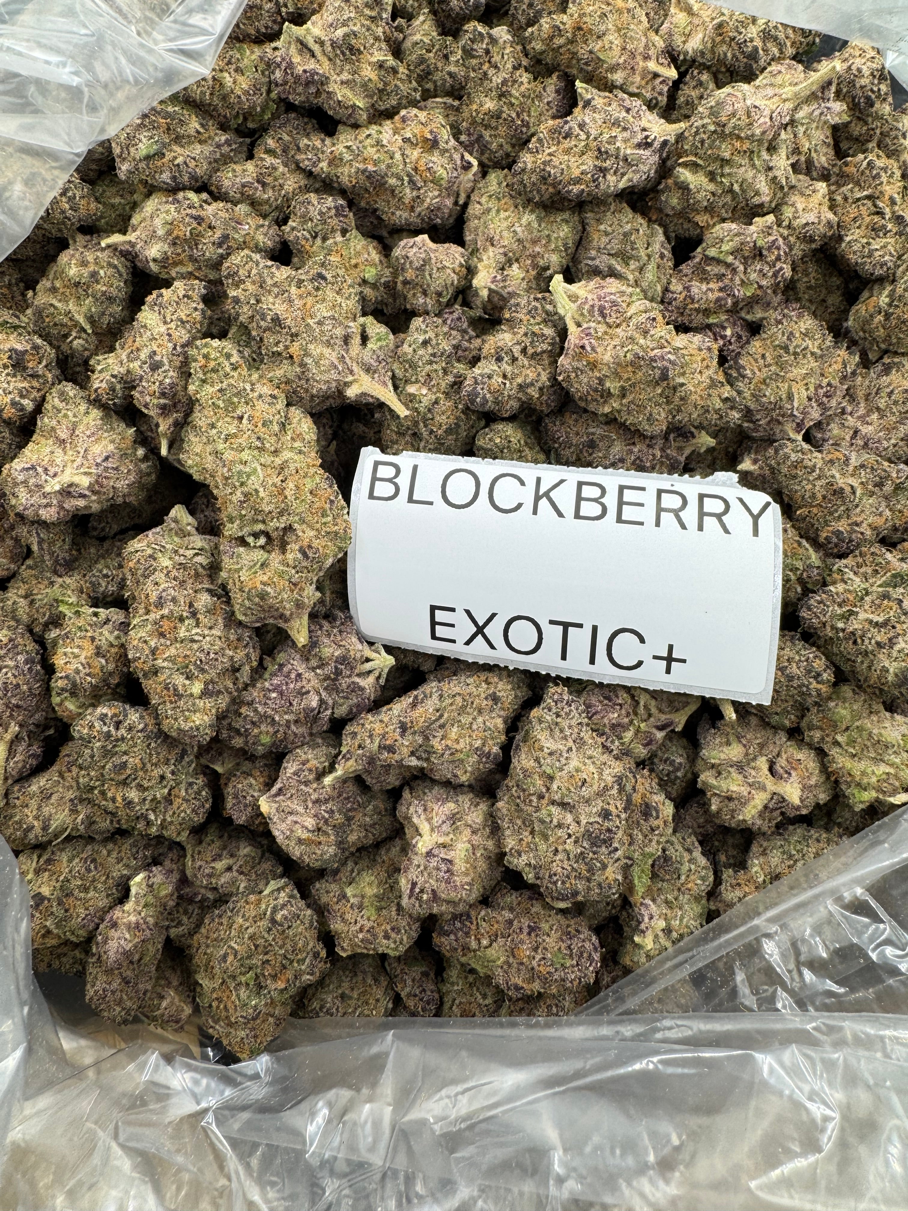 TOP SHELF EXOTICS