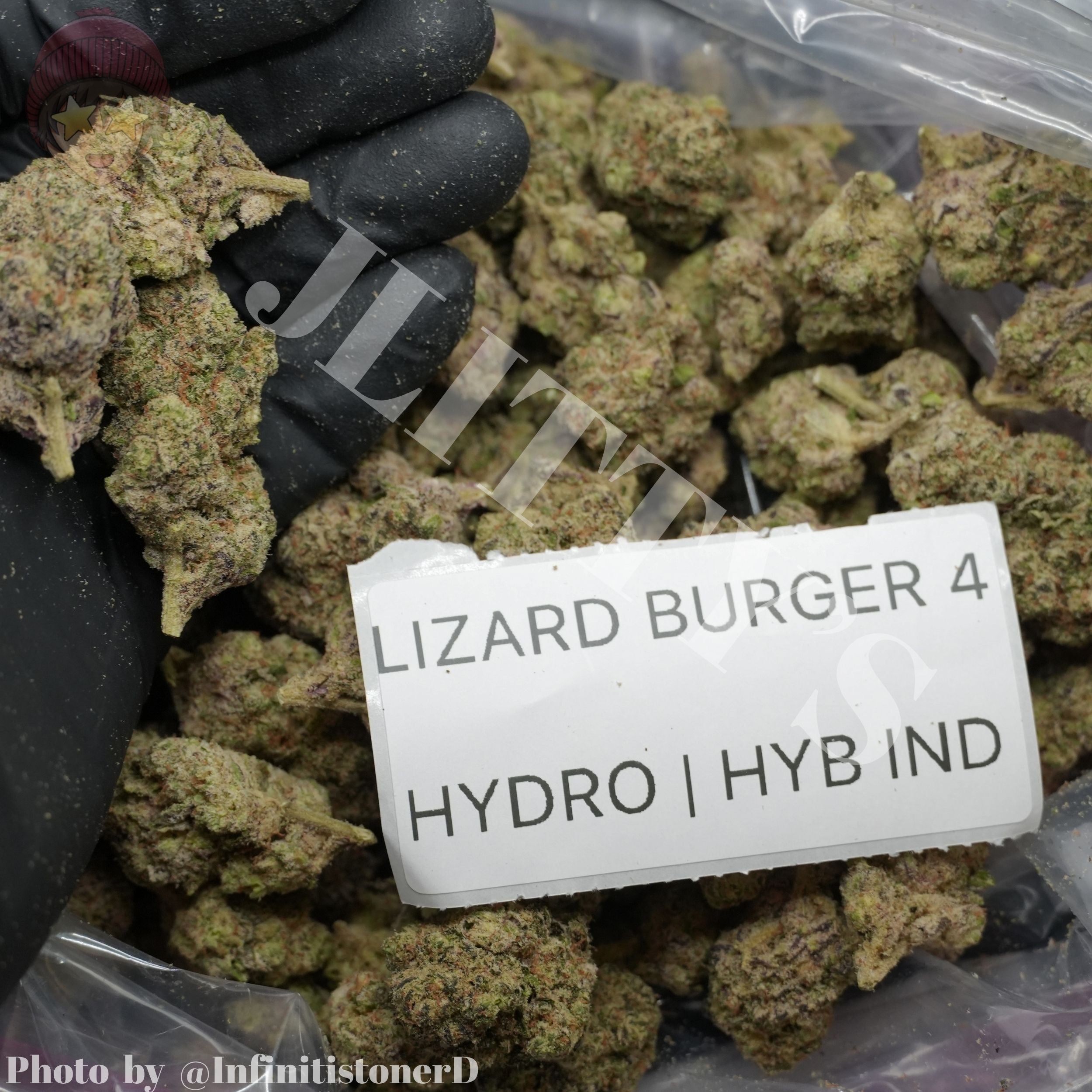 TOP SHELF EXOTICS