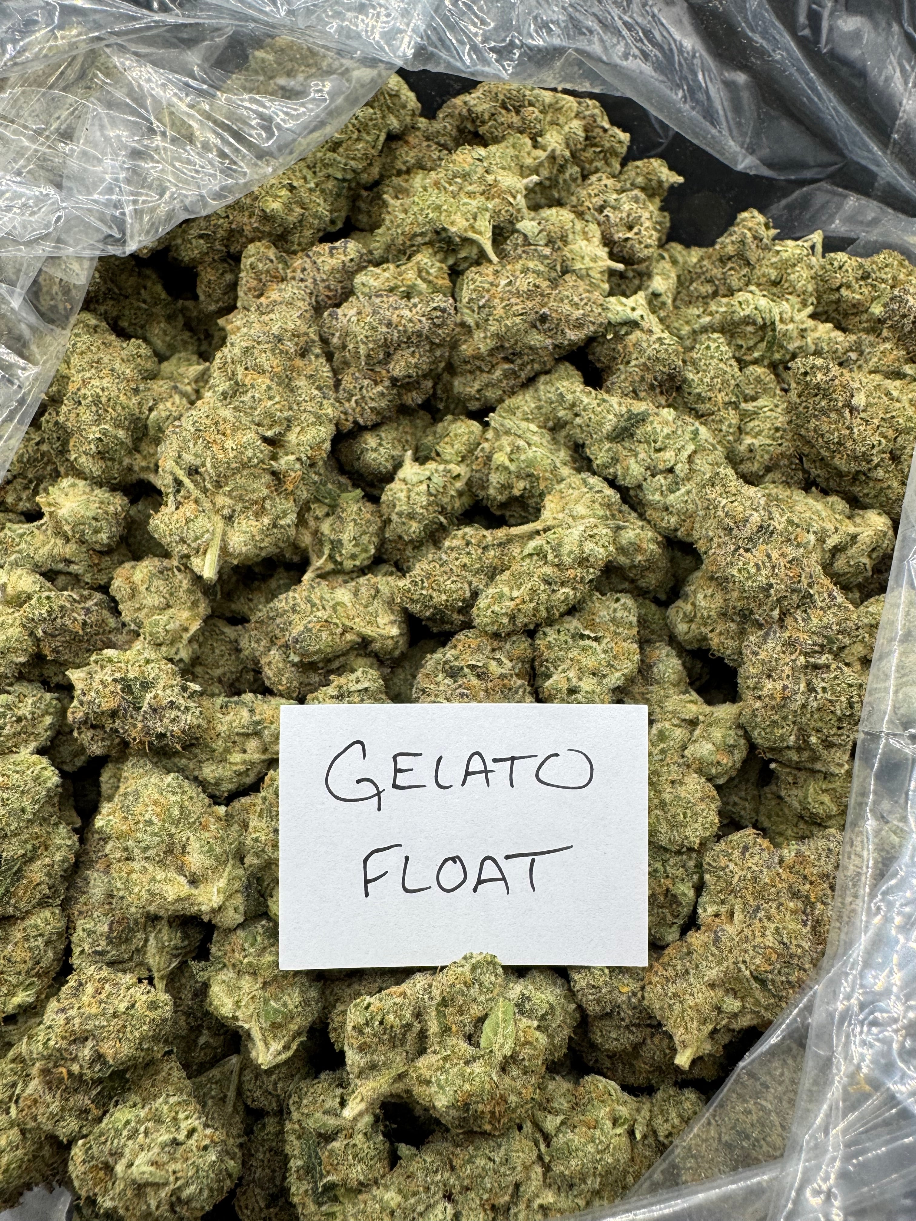 EXOTIC FLOWERS