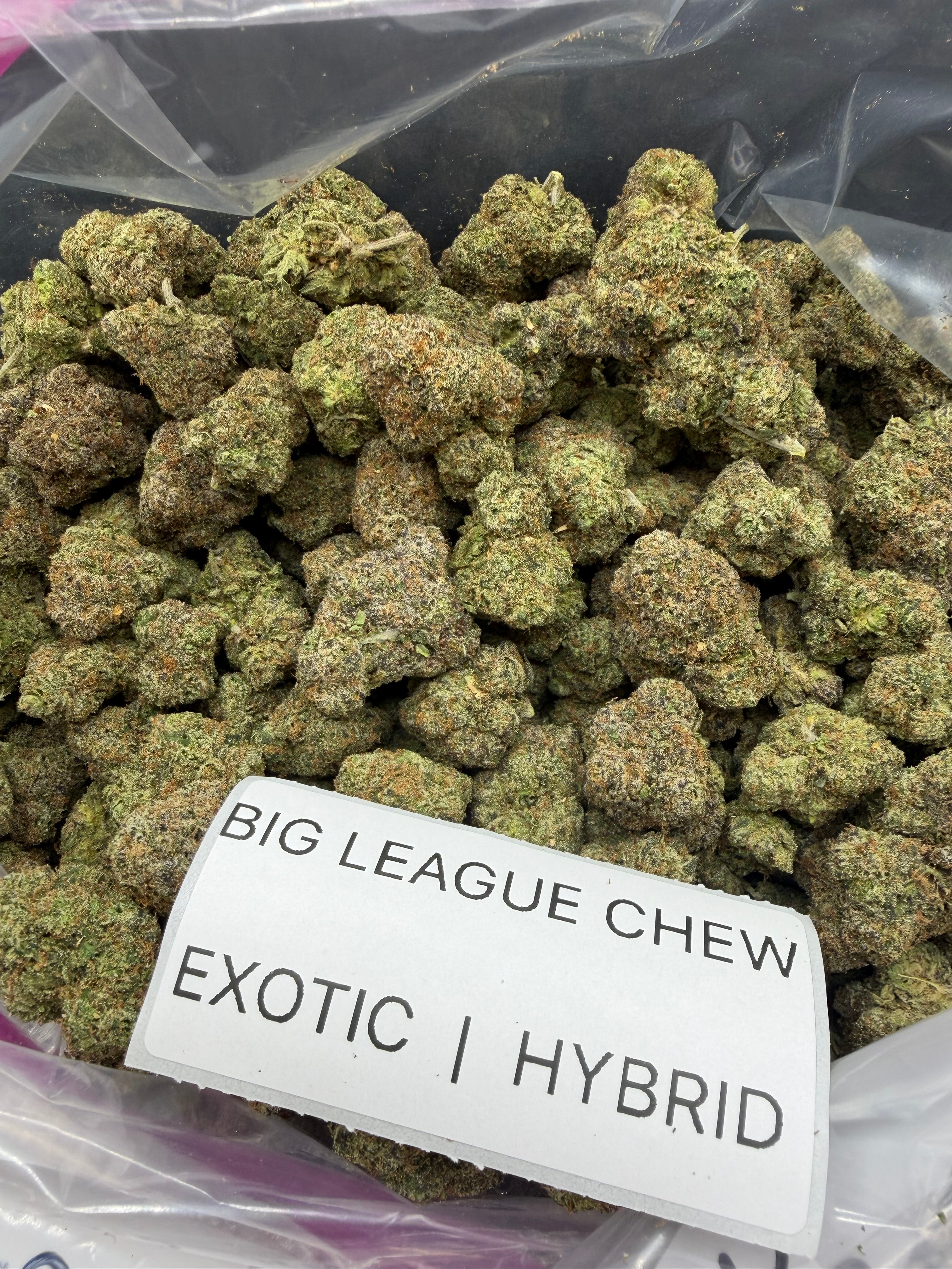 TOP SHELF EXOTICS