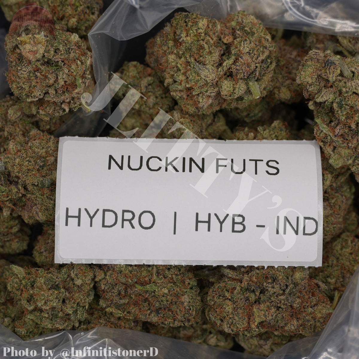 TOP SHELF EXOTICS
