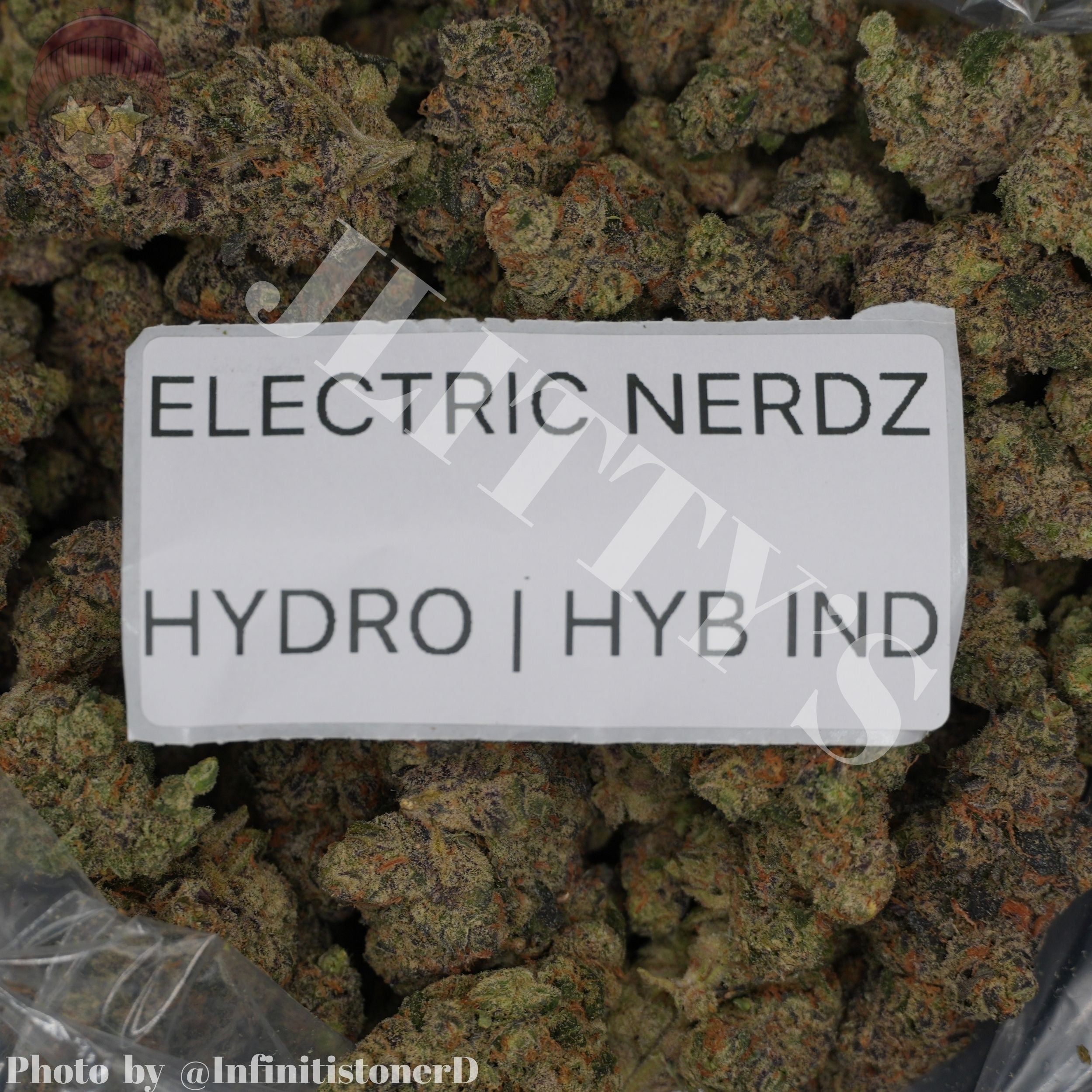 TOP SHELF EXOTICS