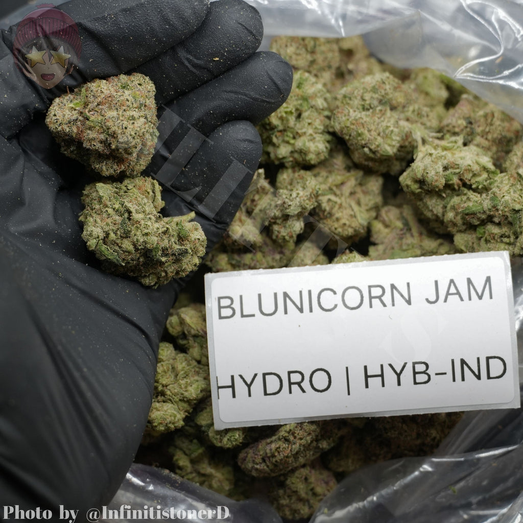 TOP SHELF EXOTICS