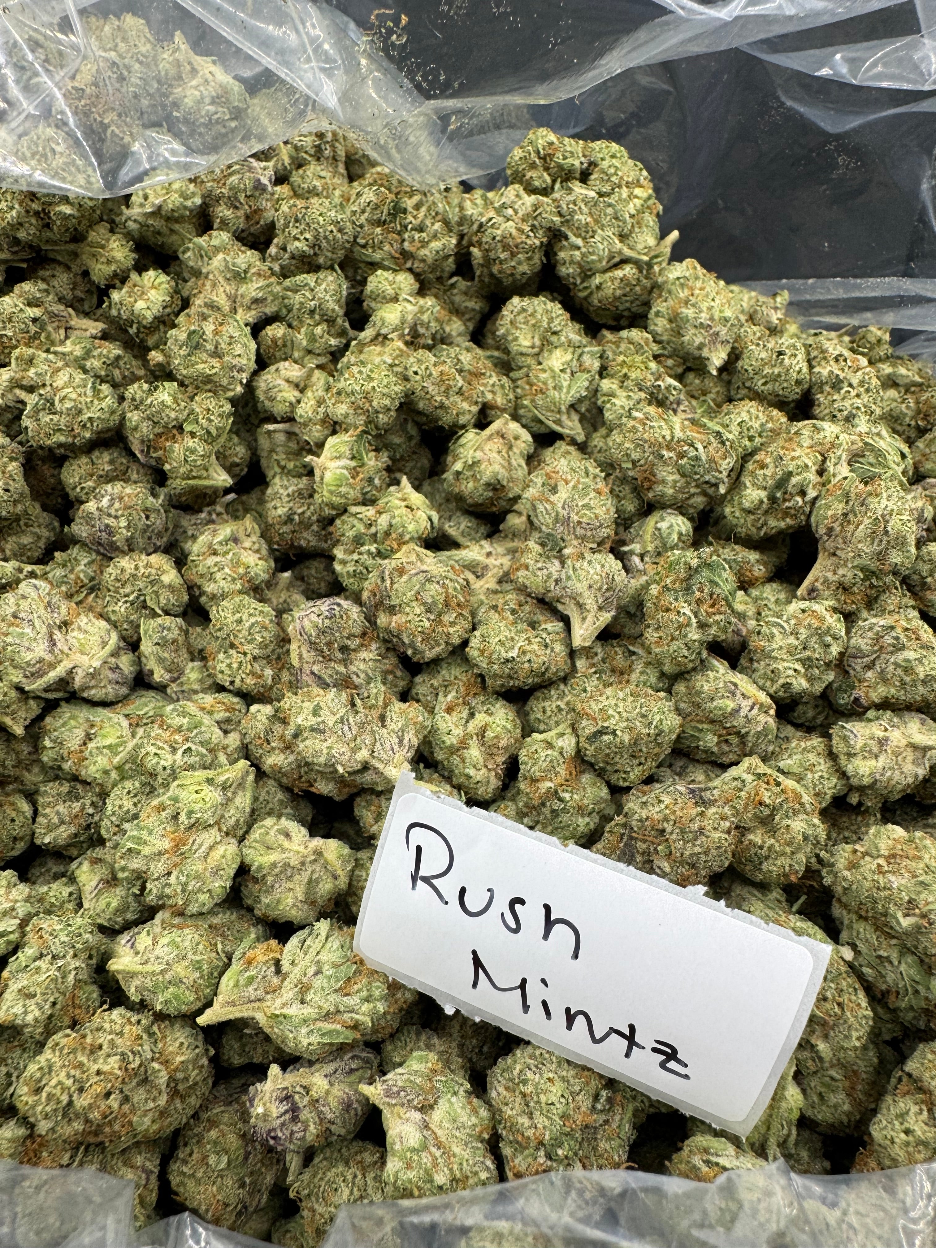BIRTHDAY QPSKIIIIIIS SALE!