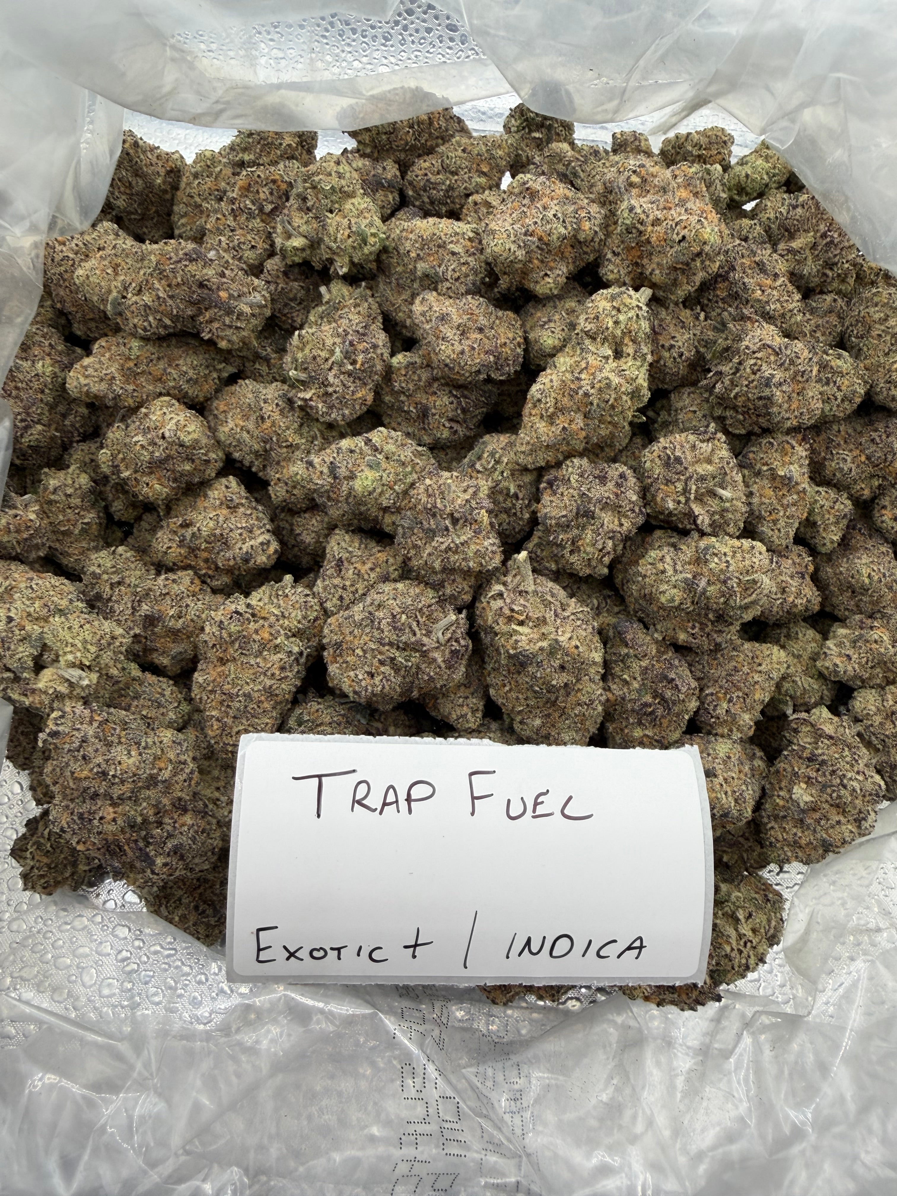 TOP SHELF EXOTICS