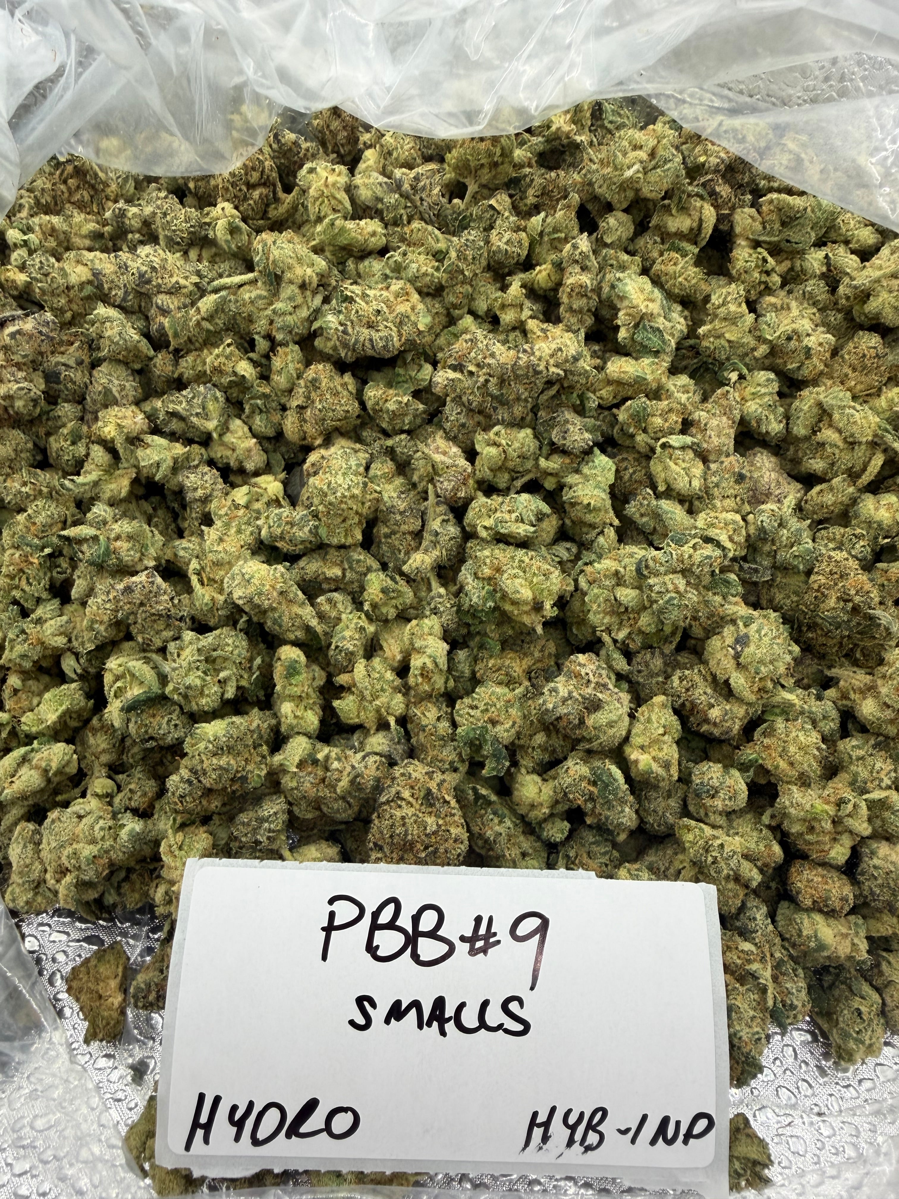 *SALE* SMALLS AND MEDIUMS (DISCOUNT CODES DO NOT APPLY)