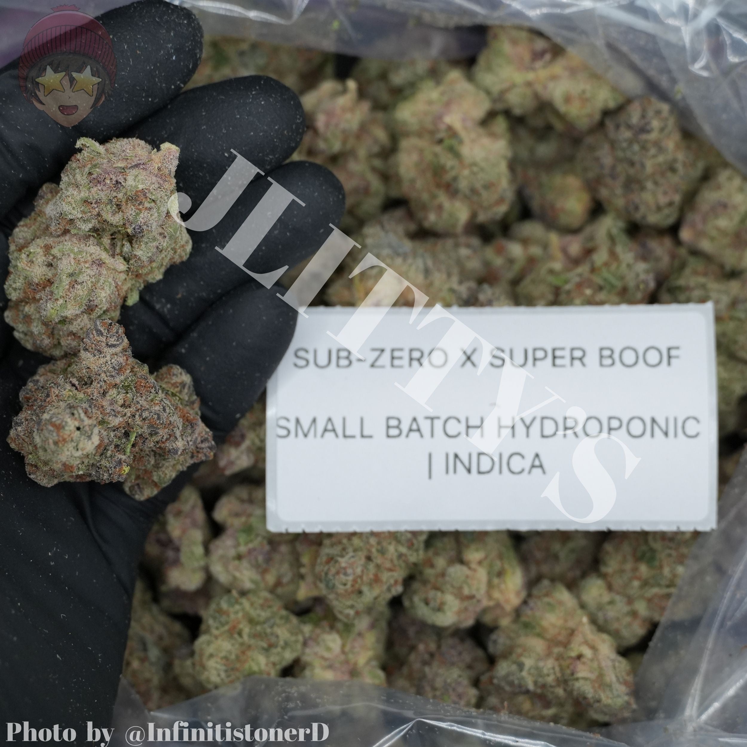 TOP SHELF EXOTICS
