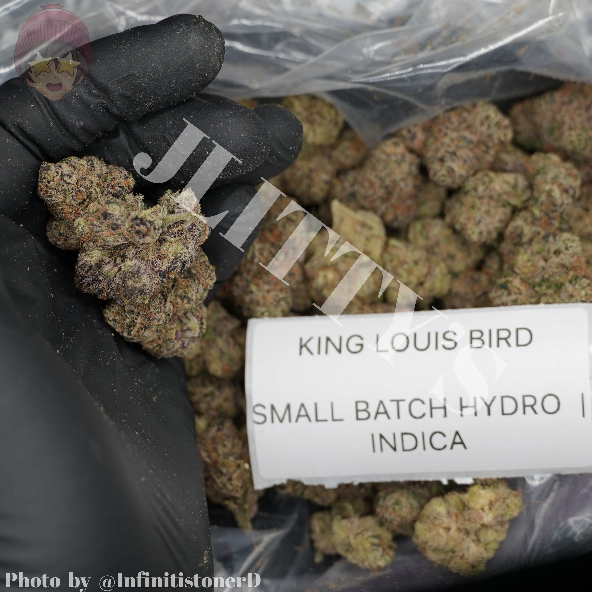TOP SHELF EXOTICS