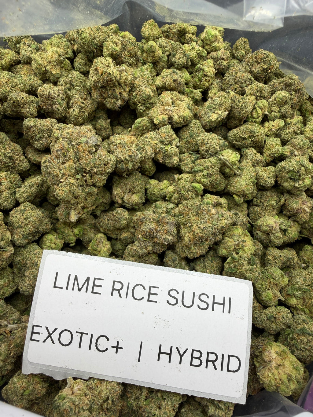 TOP SHELF EXOTICS