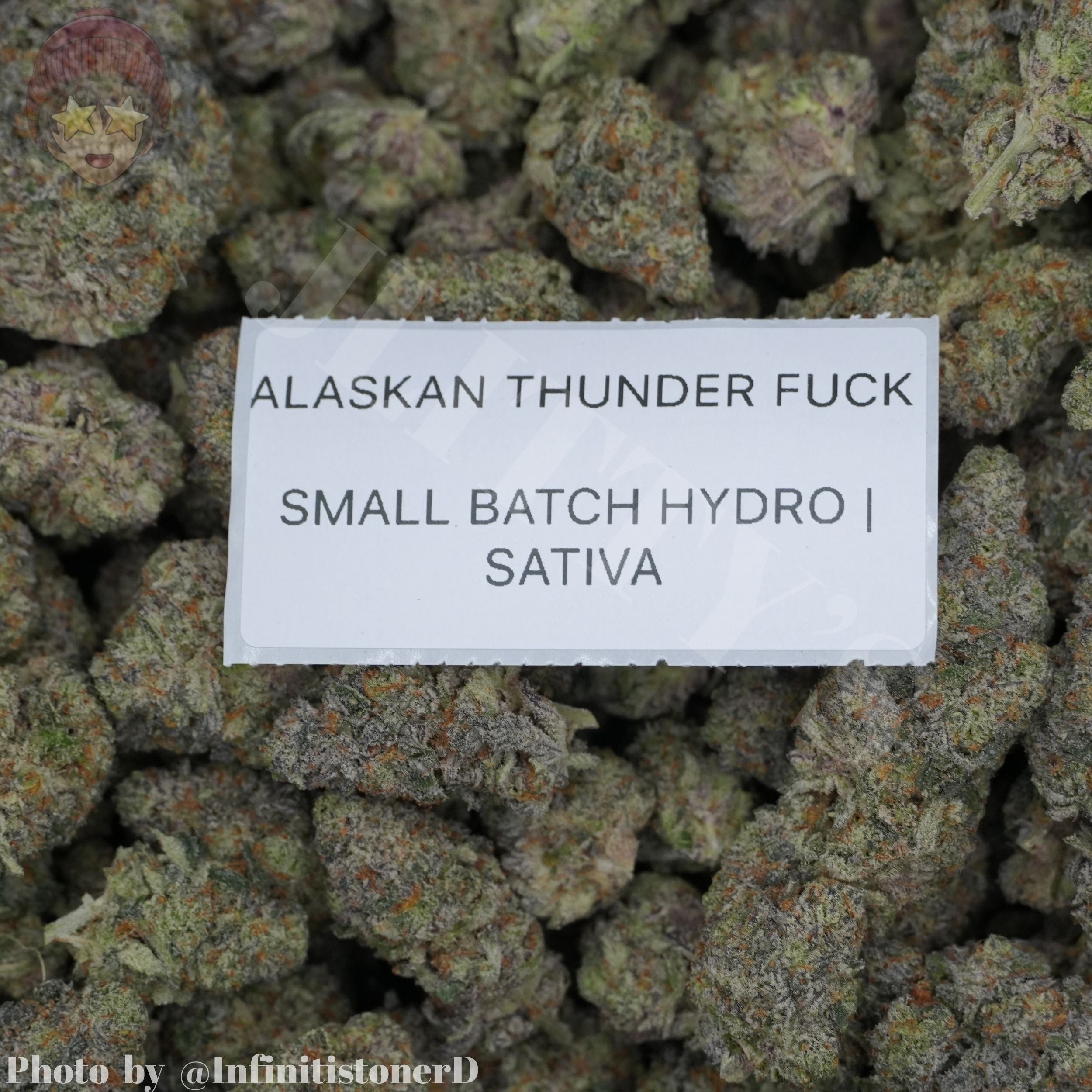 TOP SHELF EXOTICS