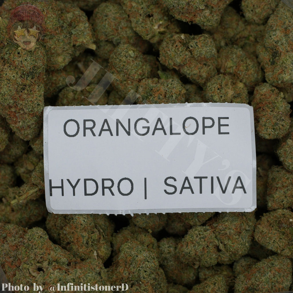 TOP SHELF EXOTICS