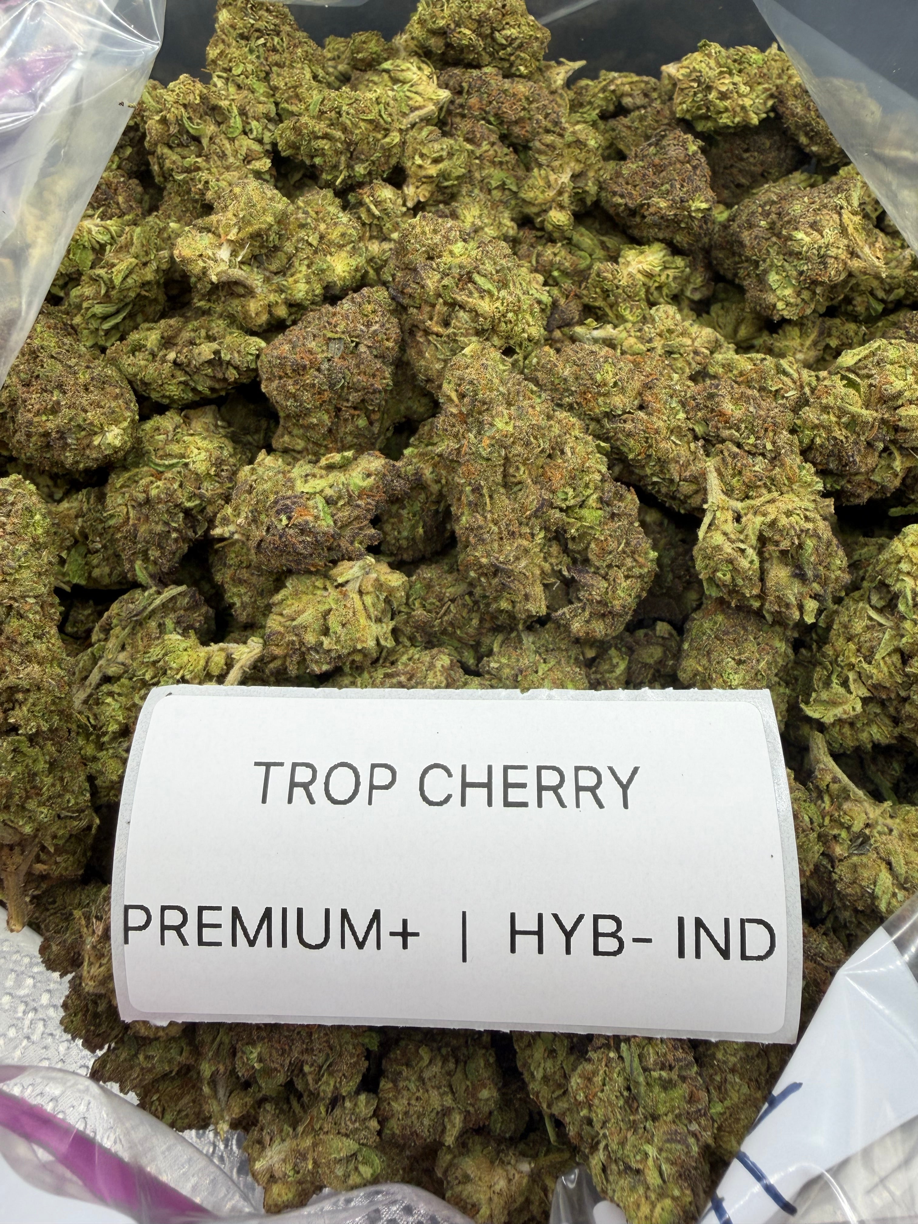 J Litty’s Weekly Deals!