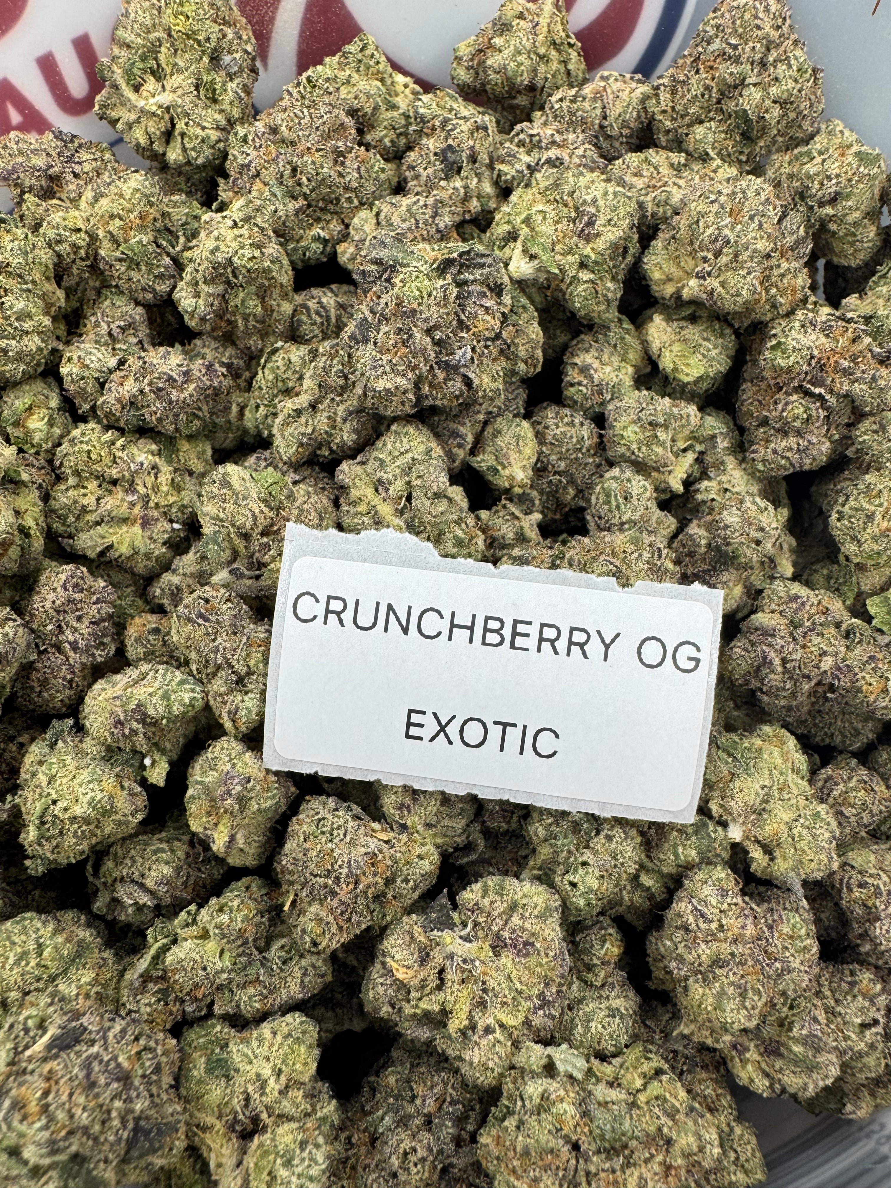 TOP SHELF EXOTICS