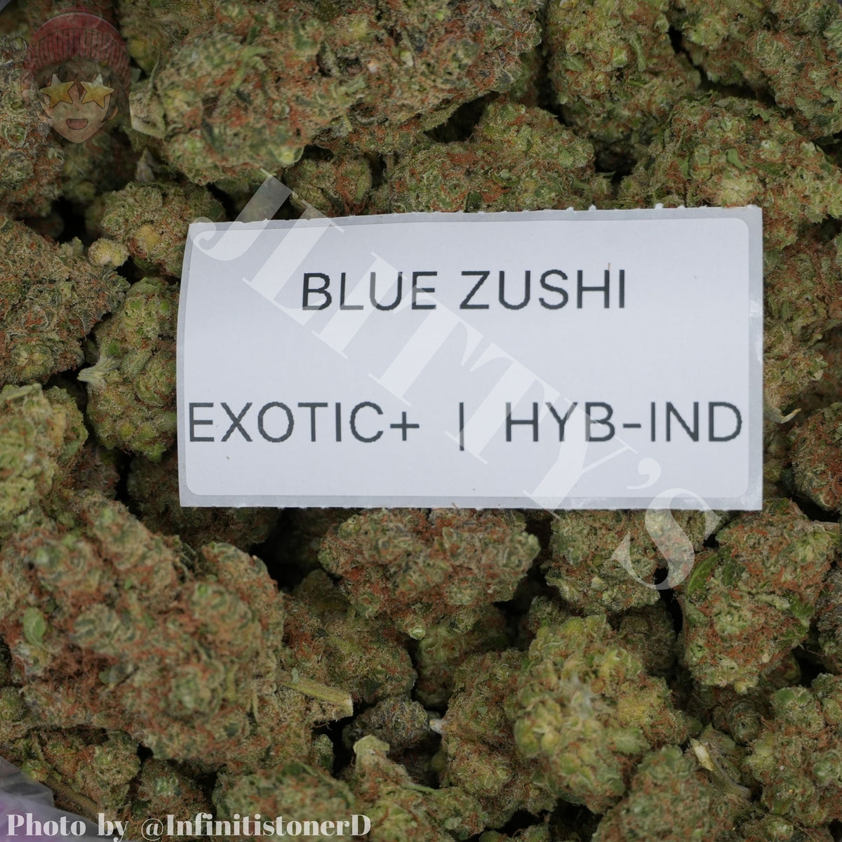 TOP SHELF EXOTICS