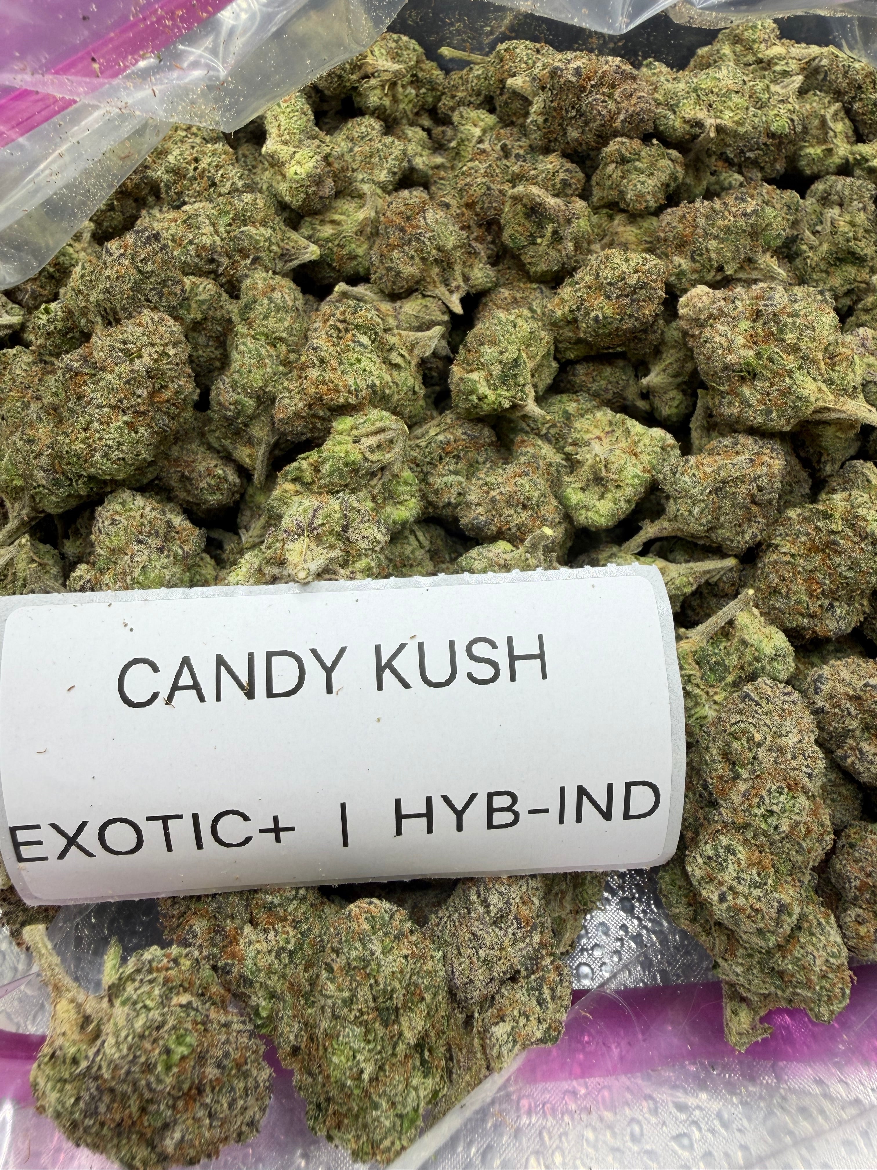 TOP SHELF EXOTICS