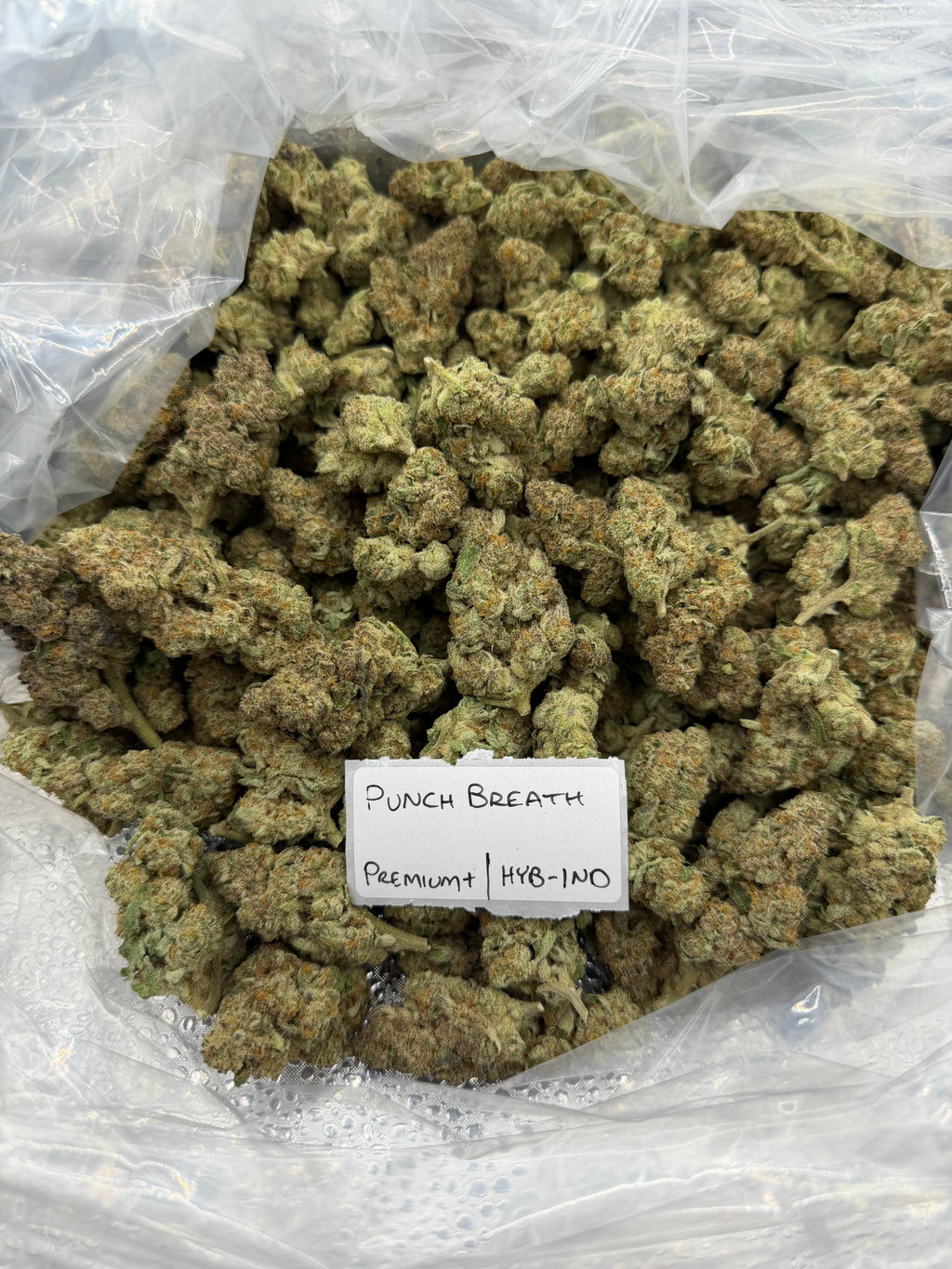 J Litty’s Weekly Deals!