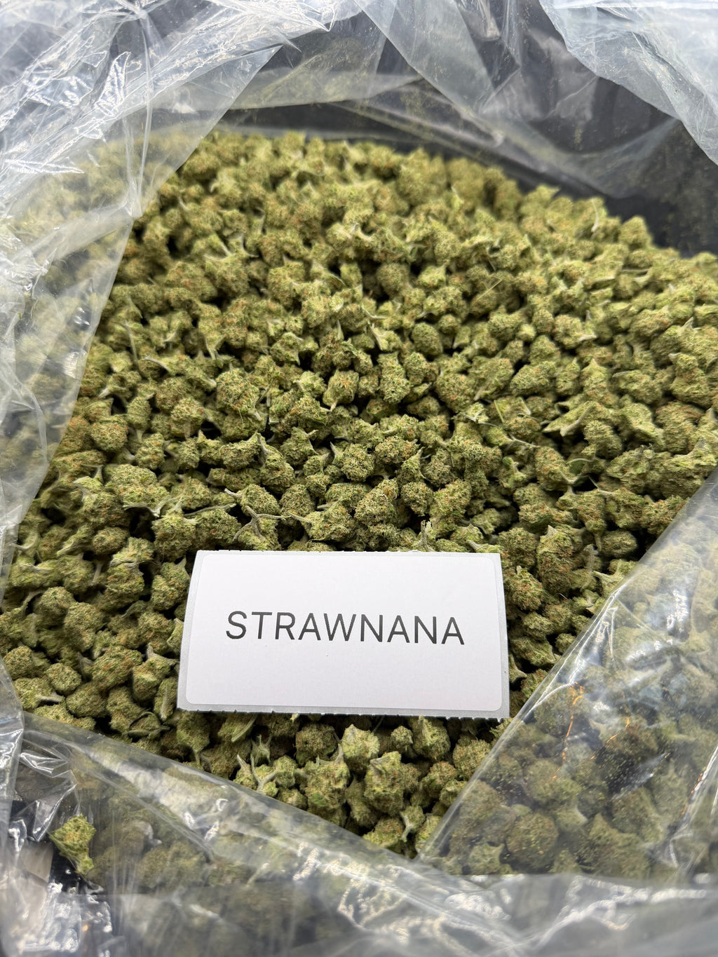 *SALE* SMALLS AND MEDIUMS