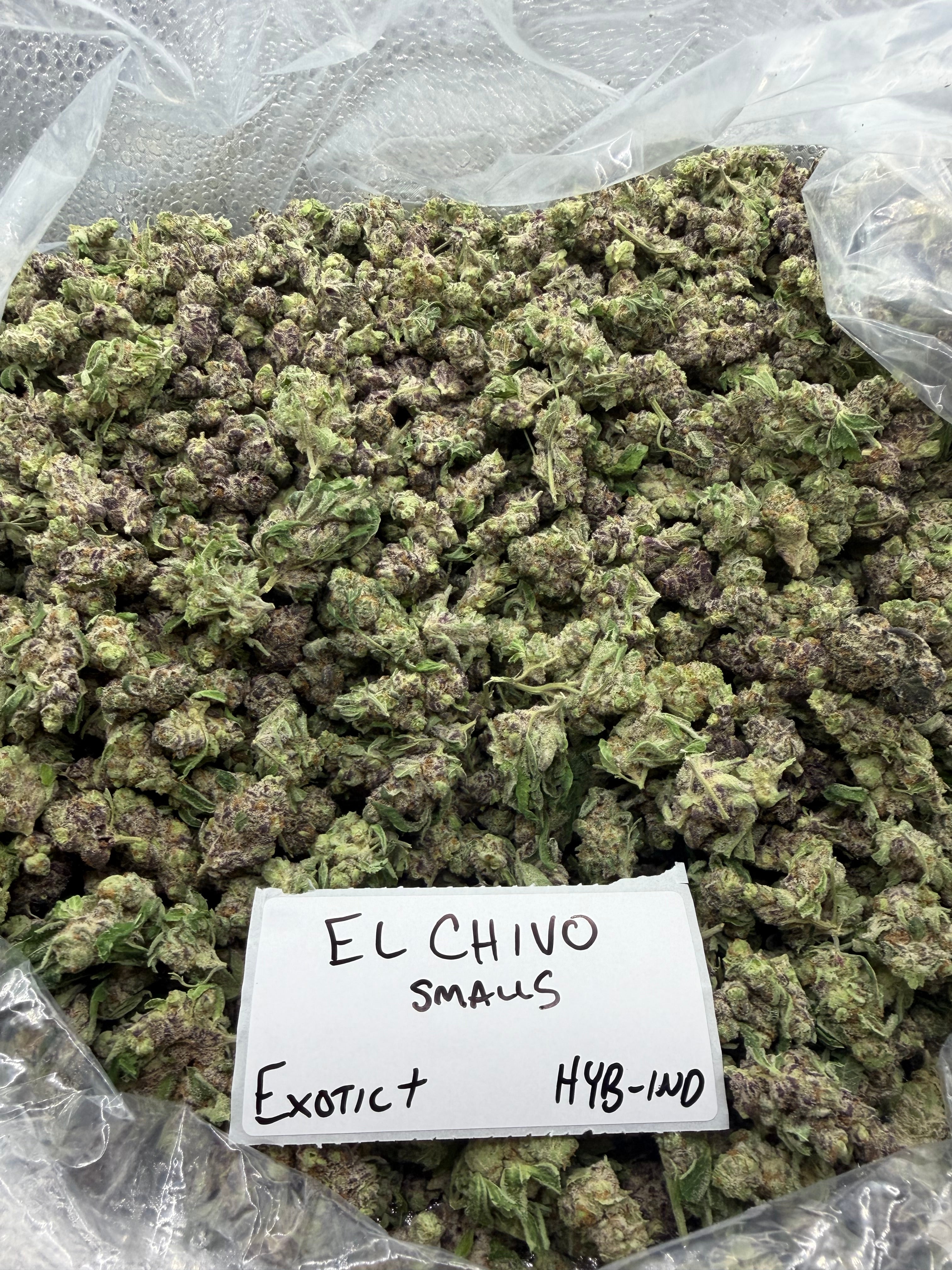 *SALE* SMALLS AND MEDIUMS (DISCOUNT CODES DO NOT APPLY)