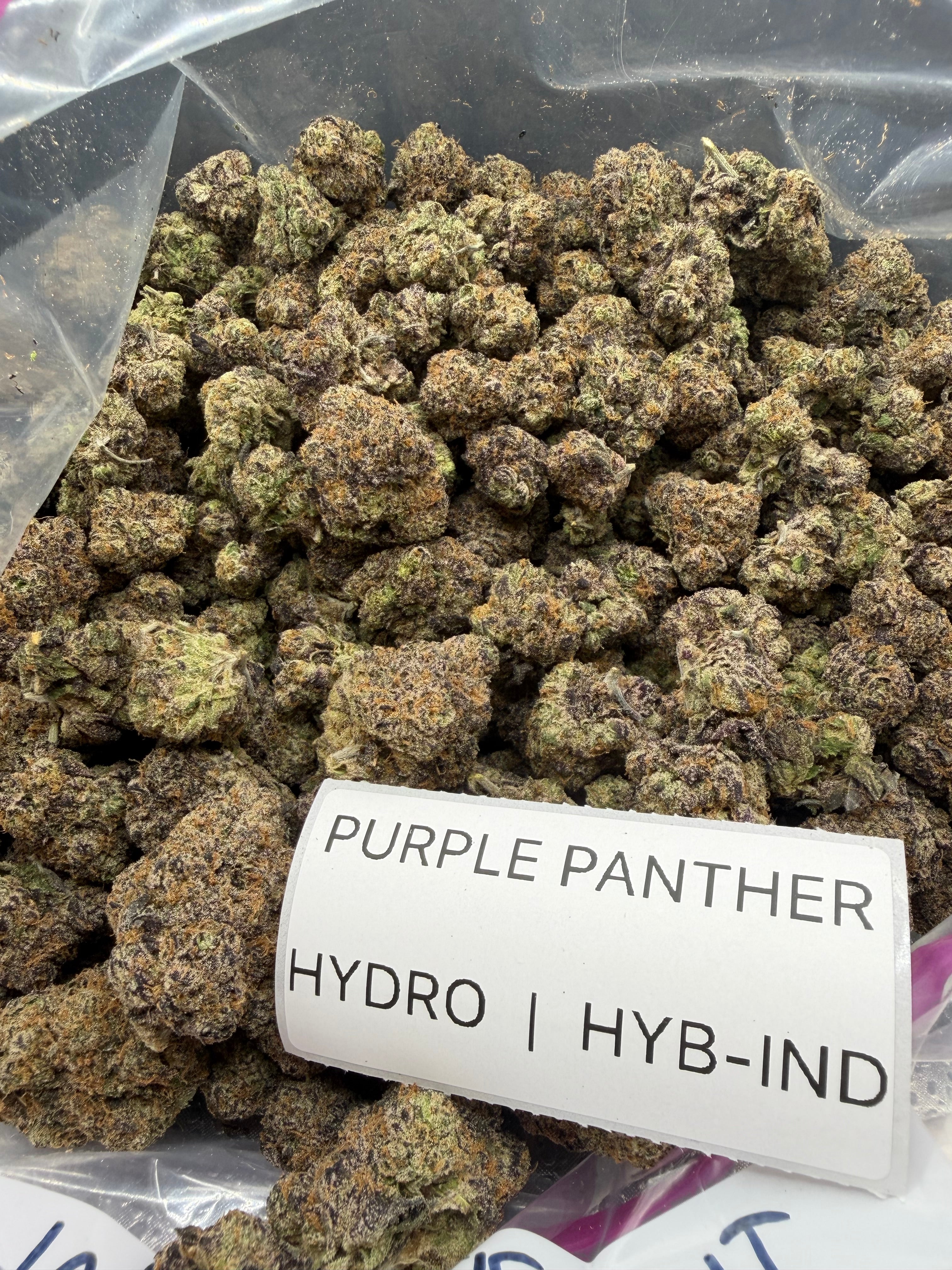 TOP SHELF EXOTICS