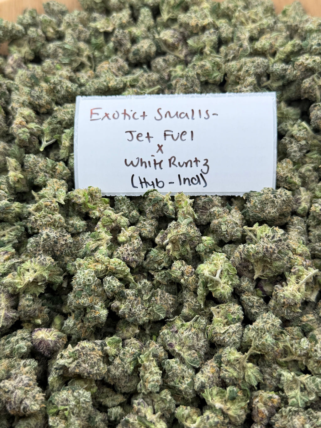 *SALE* SMALLS AND MEDIUMS (NO CODE NEEDED)