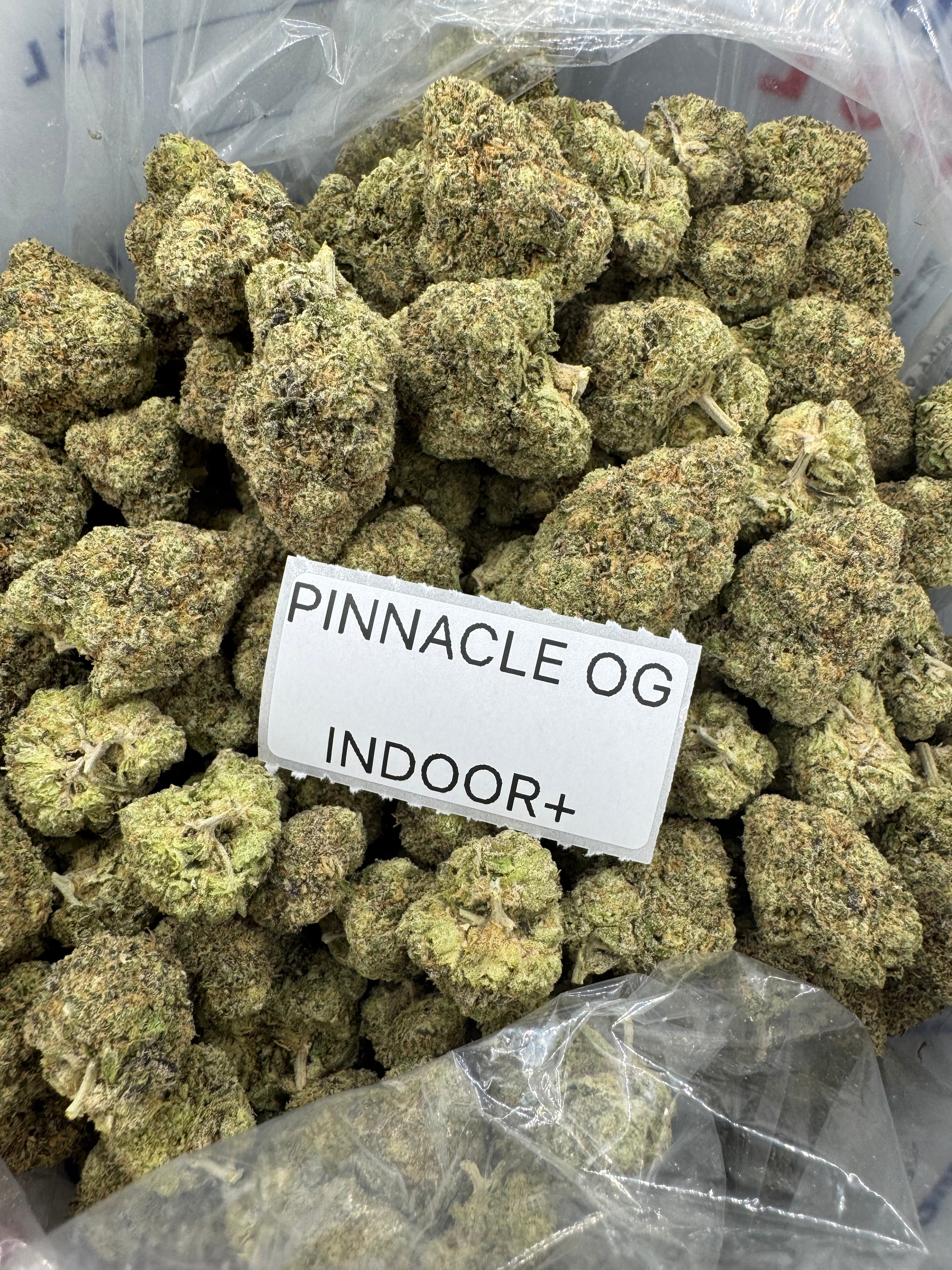 J Litty’s Weekly Deals!