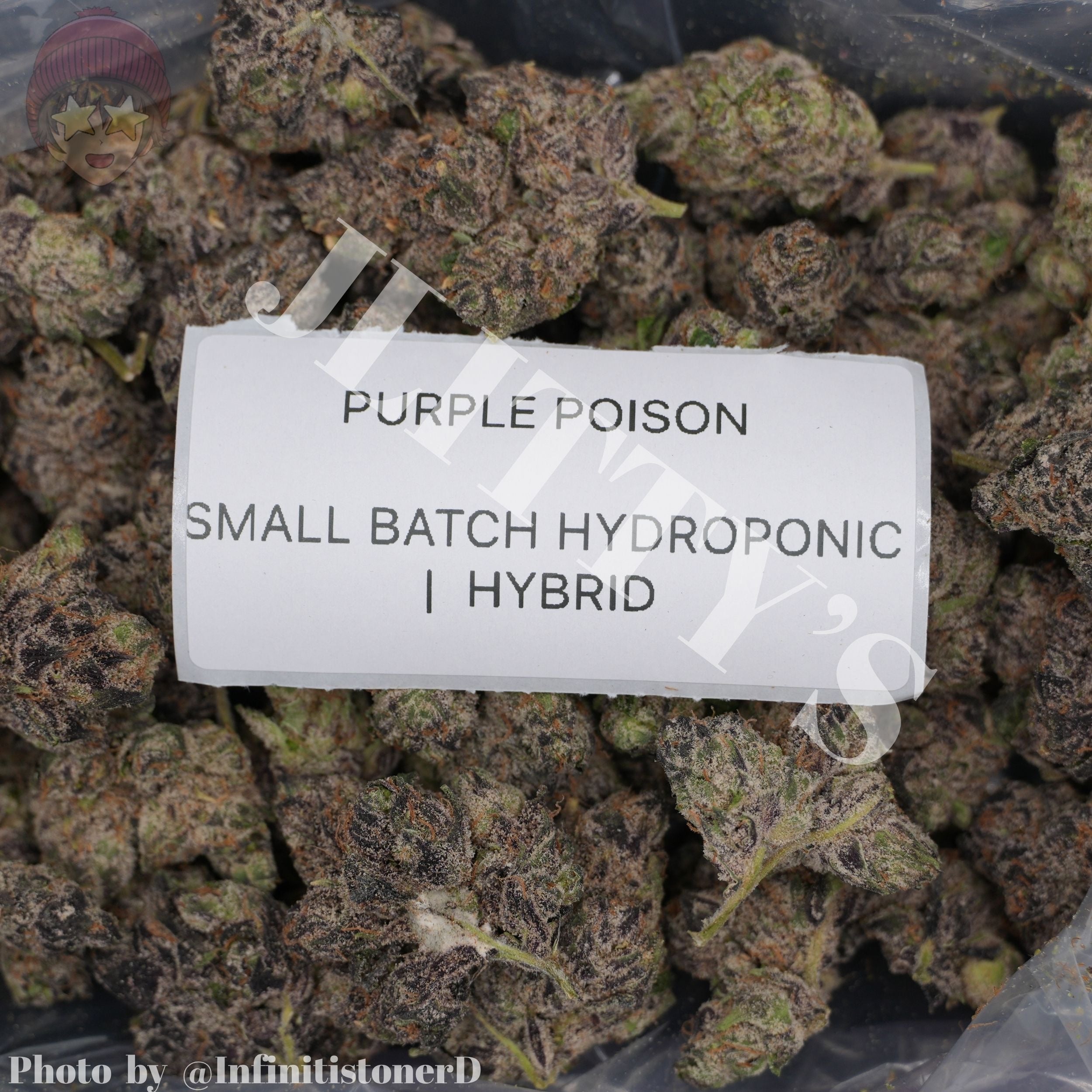 TOP SHELF EXOTICS